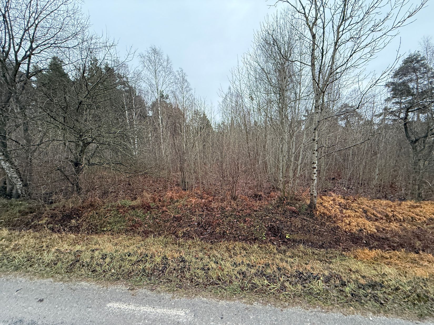 Tomt, Guldrupe Hallbjäns 1:34, Guldrupe - Mellersta Gotland, Gotland