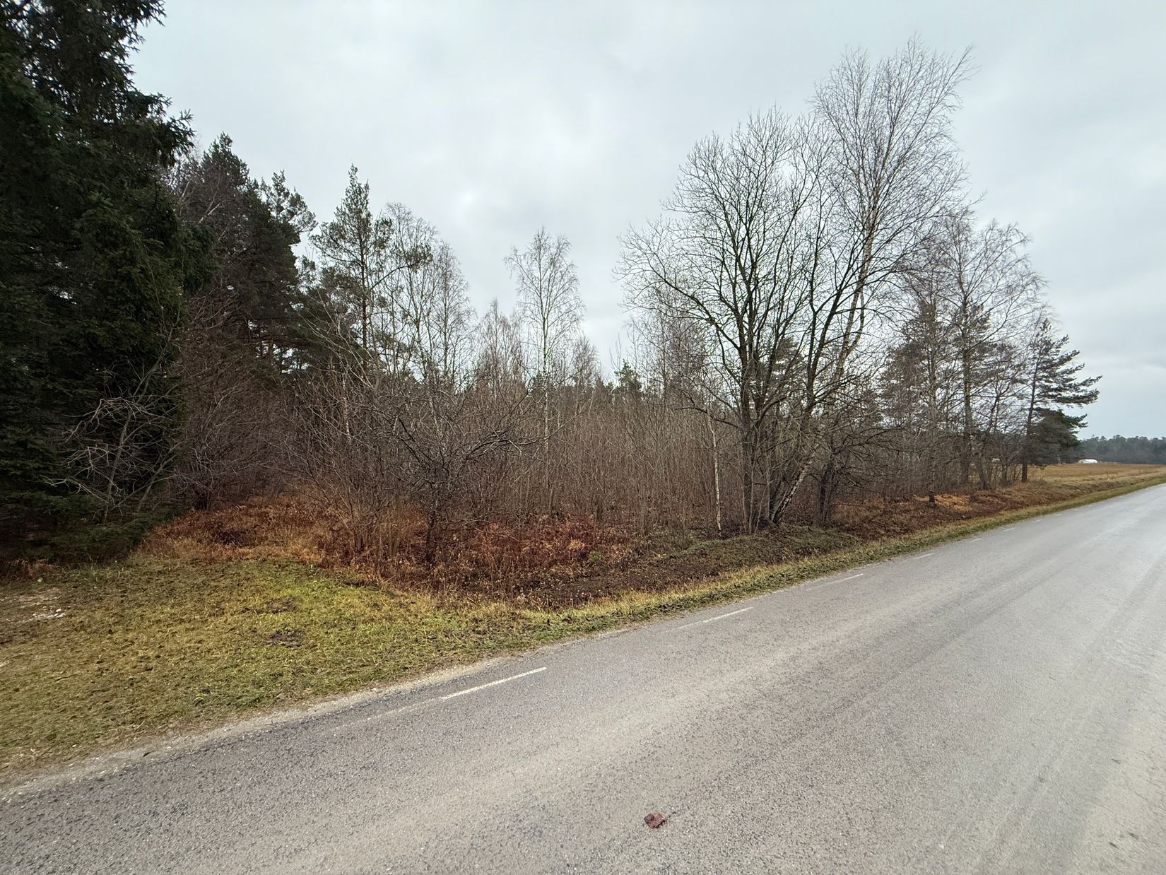 Tomt, Guldrupe Hallbjäns 1:34, Guldrupe - Mellersta Gotland, Gotland