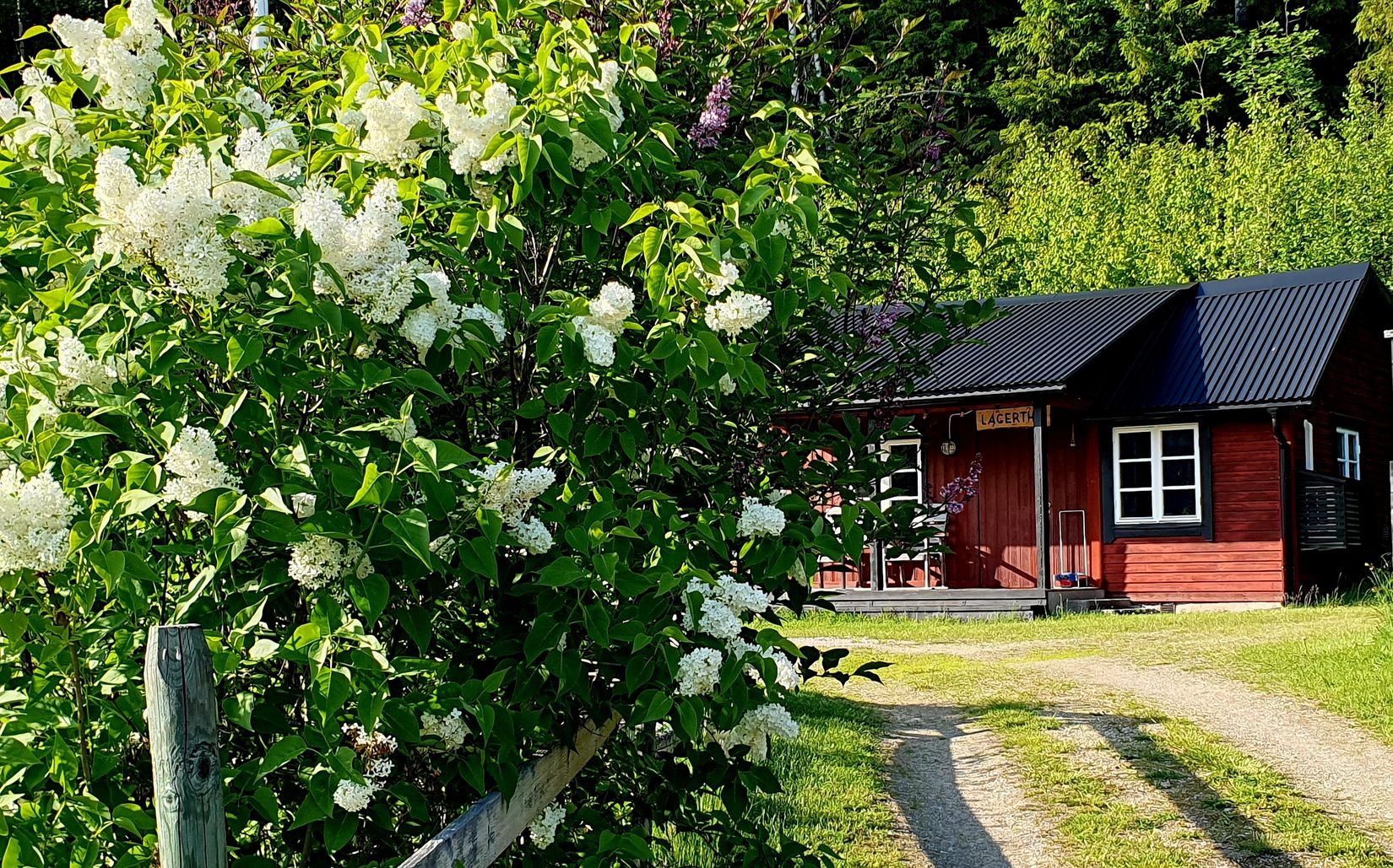 Gård/Skog, Spistorp 10, Båtstad, Torsby