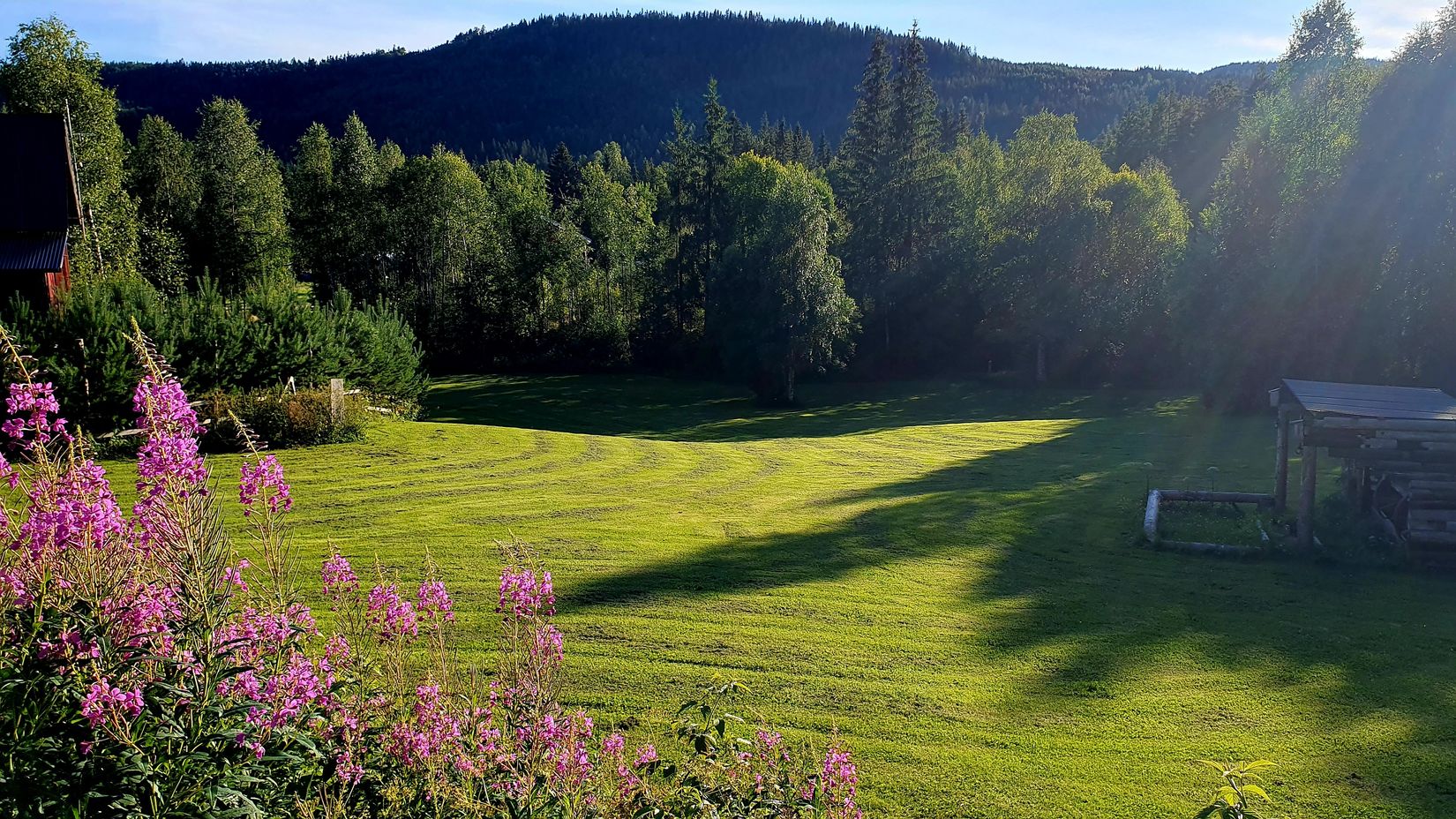 Gård/Skog, Spistorp 10, Båtstad, Torsby