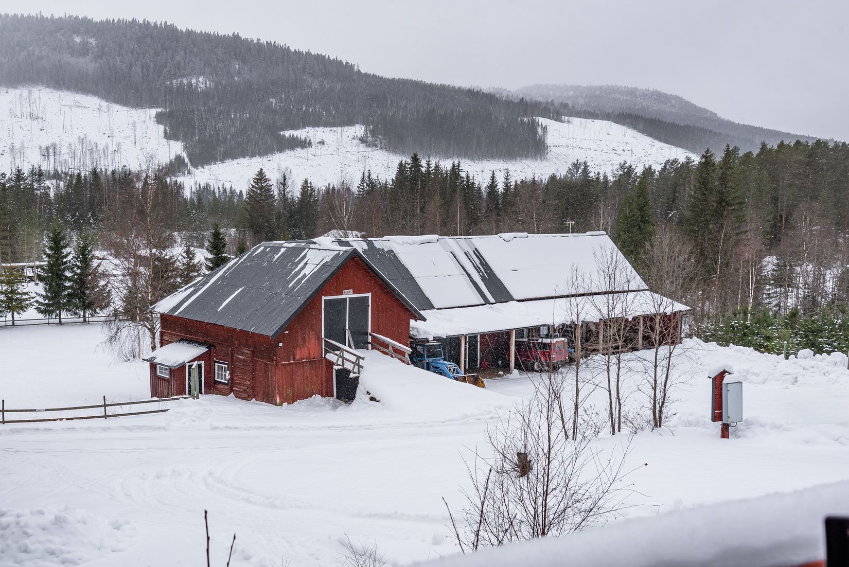 Gård/Skog, Spistorp 10, Båtstad, Torsby