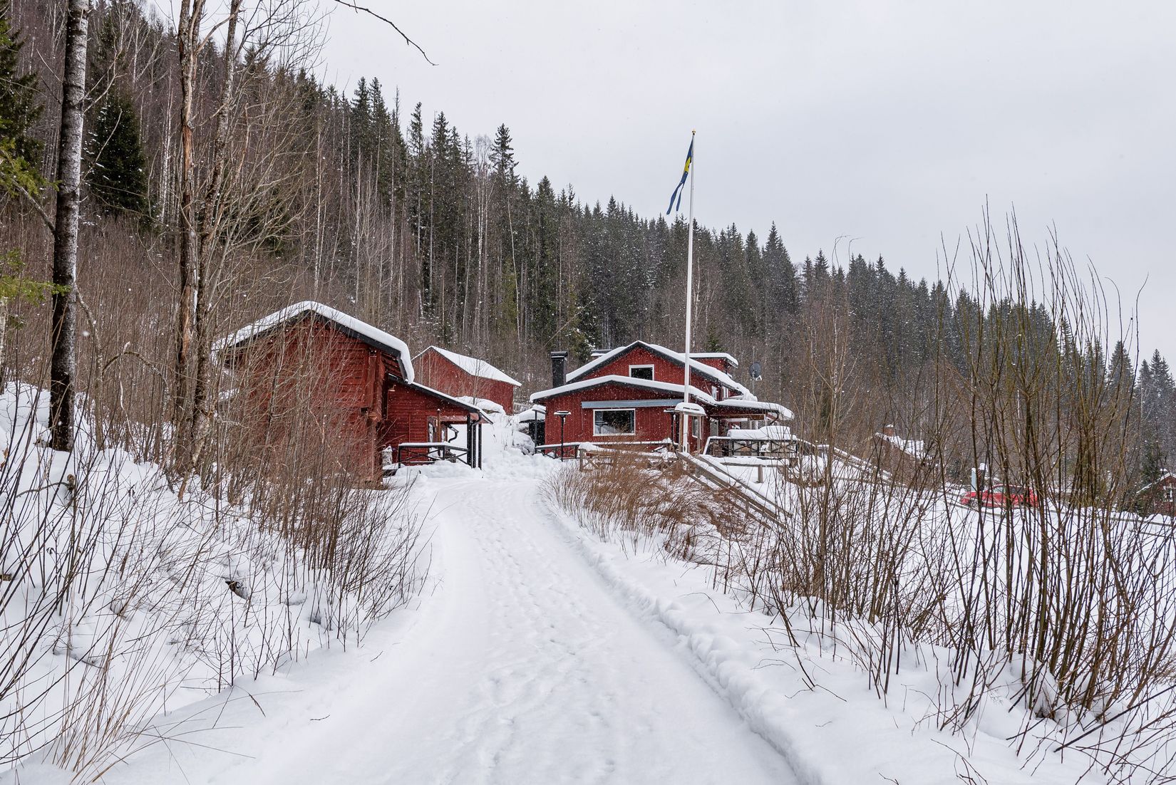 Gård/Skog, Spistorp 10, Båtstad, Torsby