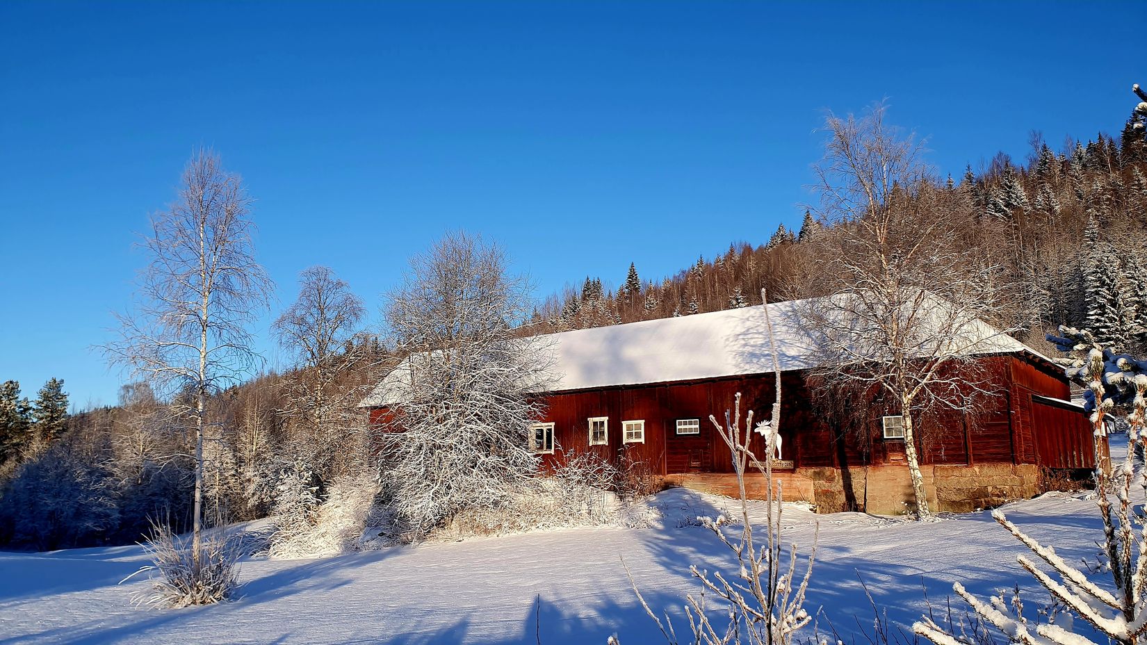 Gård/Skog, Spistorp 10, Båtstad, Torsby