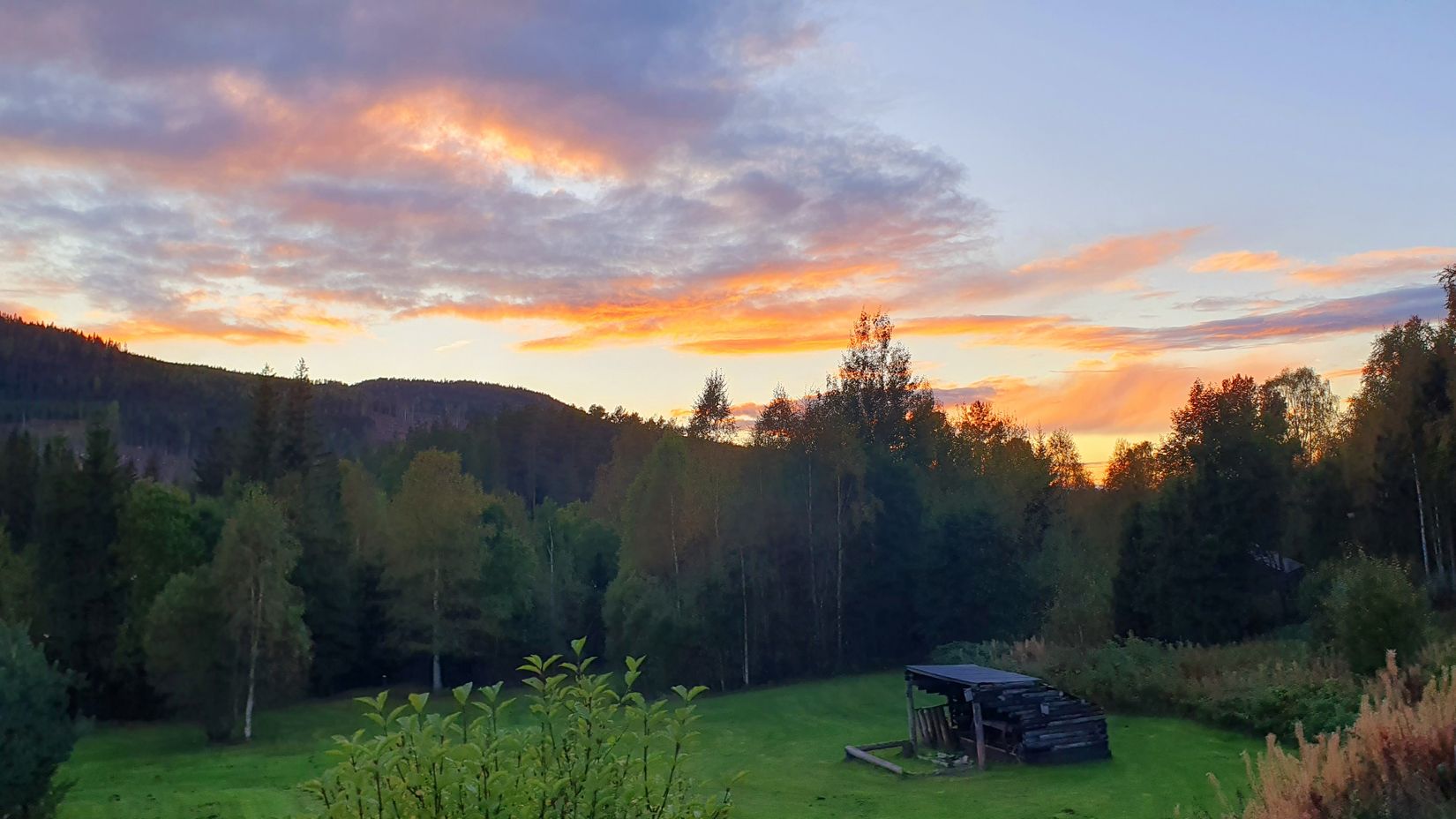 Gård/Skog, Spistorp 10, Båtstad, Torsby