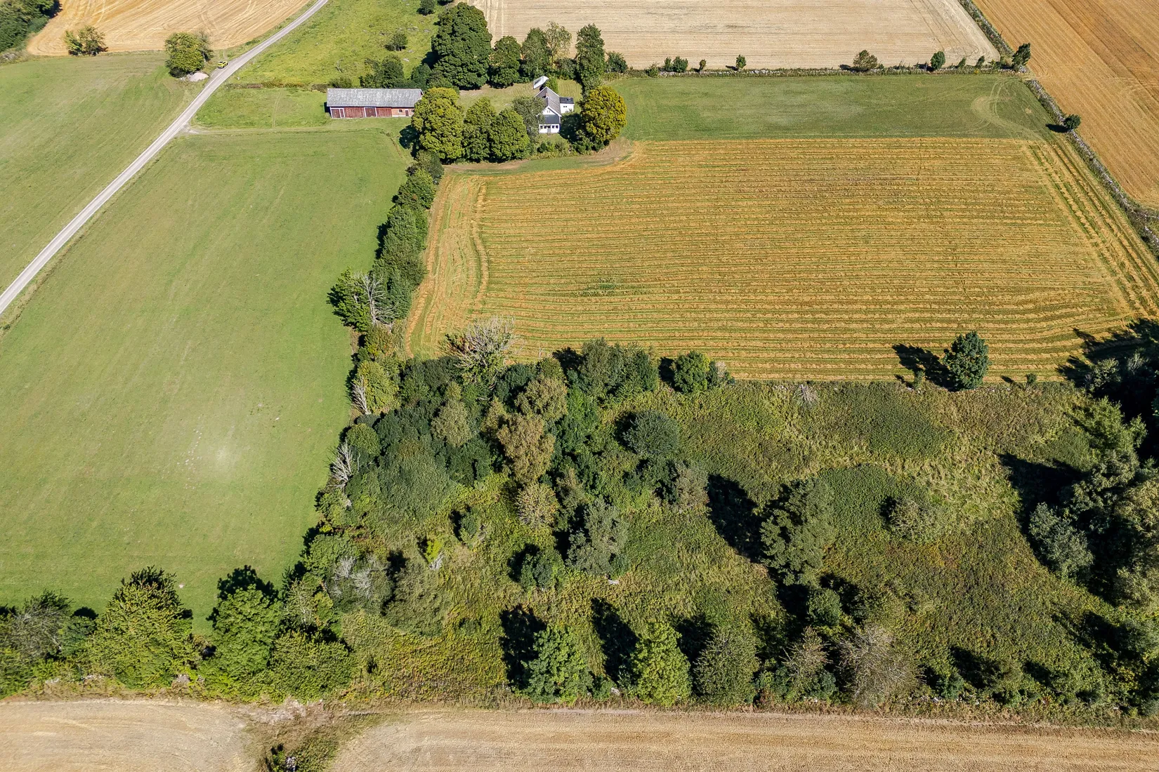 Gård/Skog, Rådene Skattegården, Rådene, Skövde