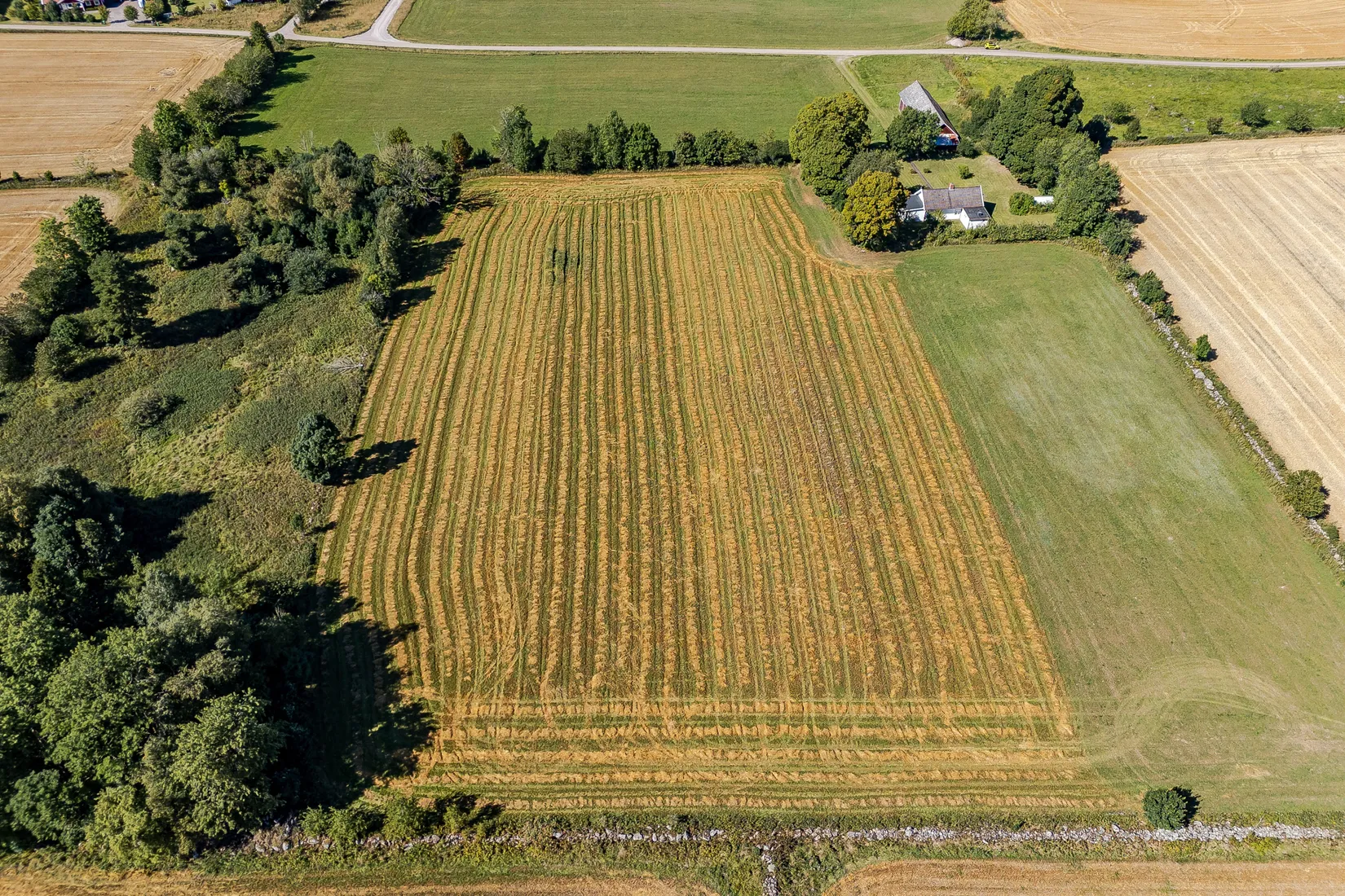 Gård/Skog, Rådene Skattegården, Rådene, Skövde