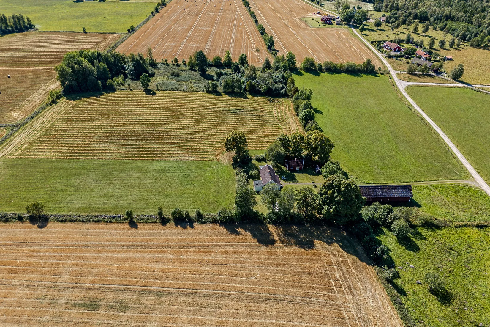 Gård/Skog, Rådene Skattegården, Rådene, Skövde