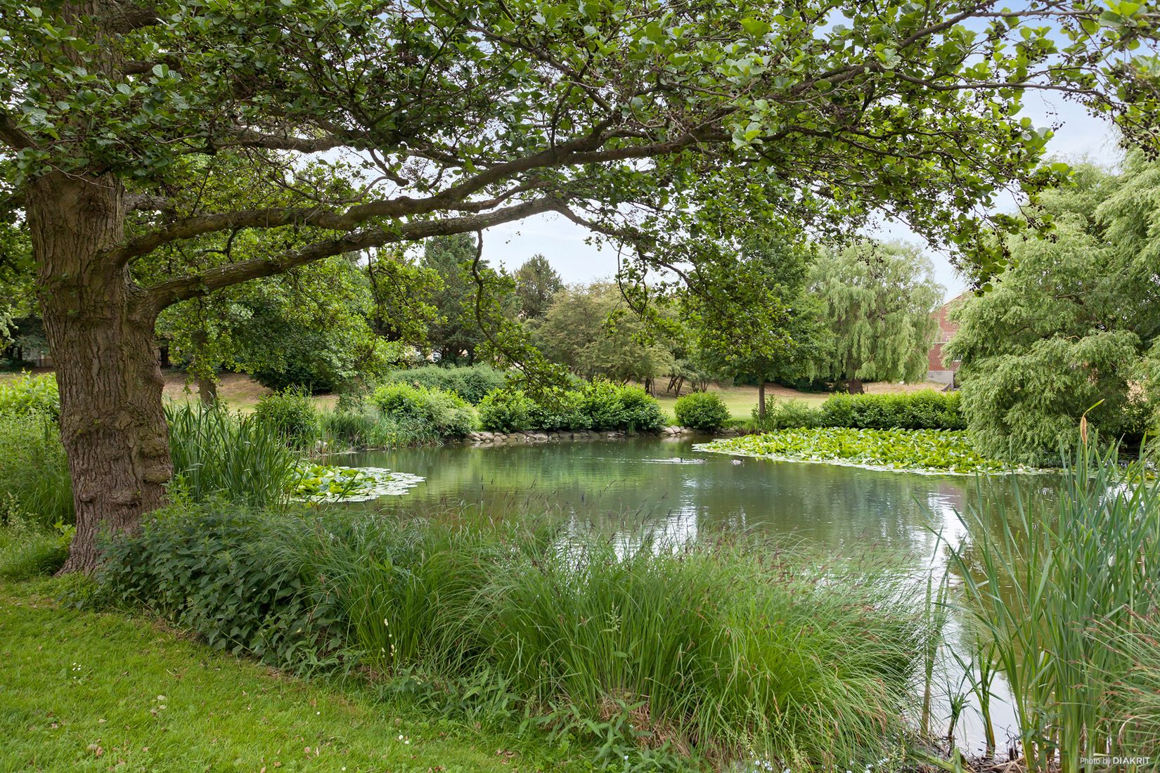 Bostadsrätt, Kronetorpsgatan 70B, Segevång, Malmö