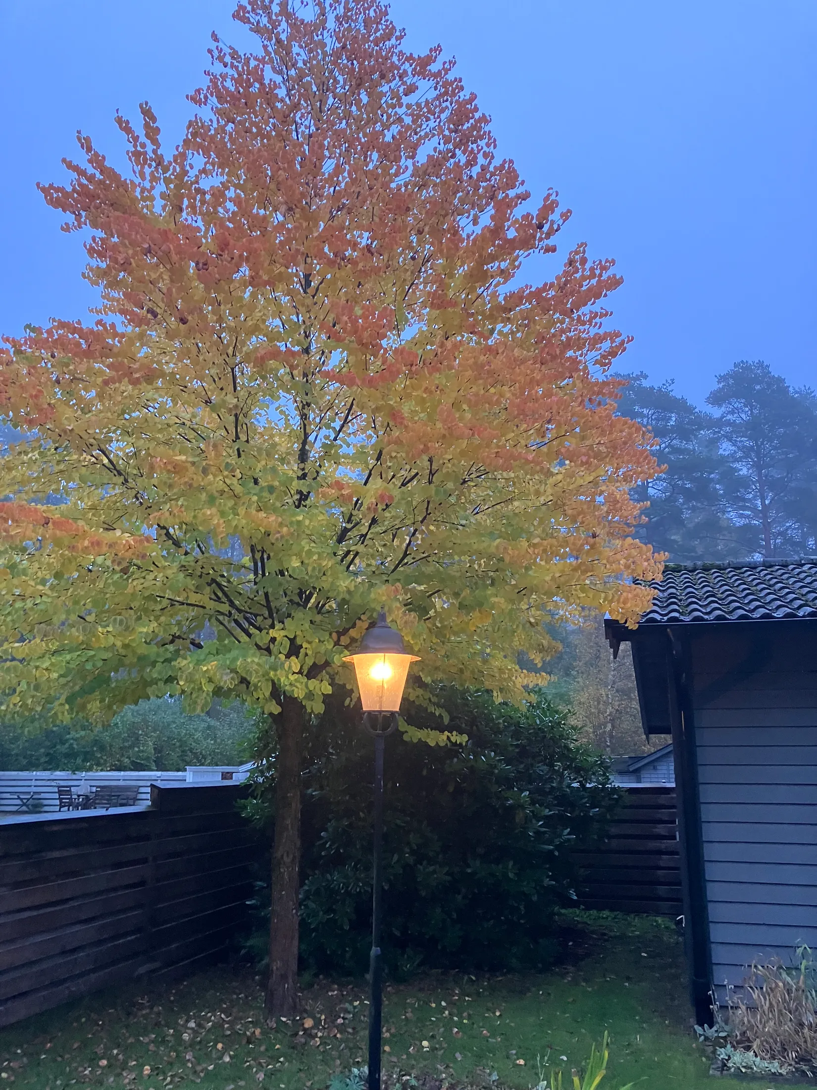 Villa, Ågeäng 3, Karups Nygård, Sjöbo