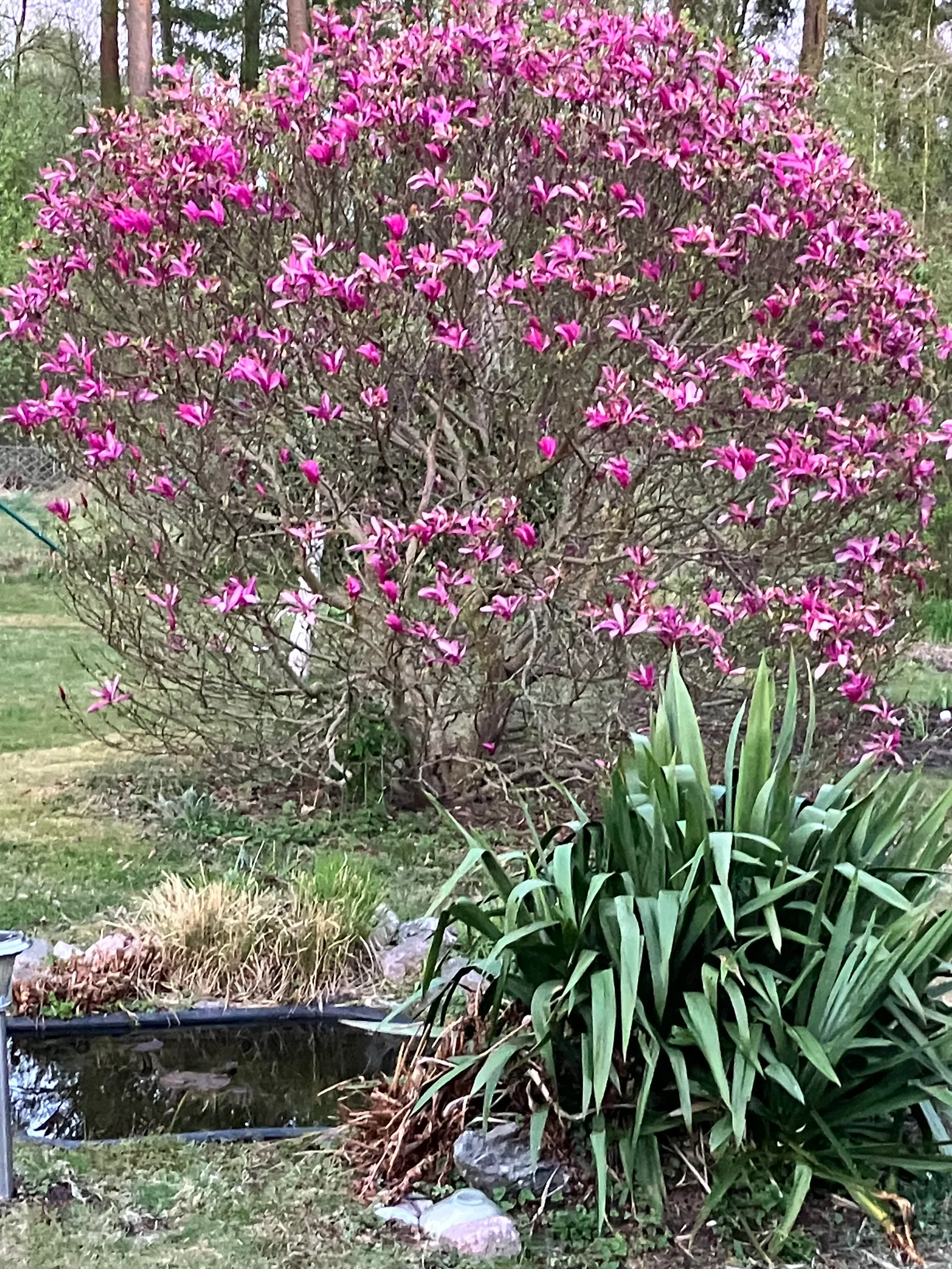 Villa, Ågeäng 3, Karups Nygård, Sjöbo