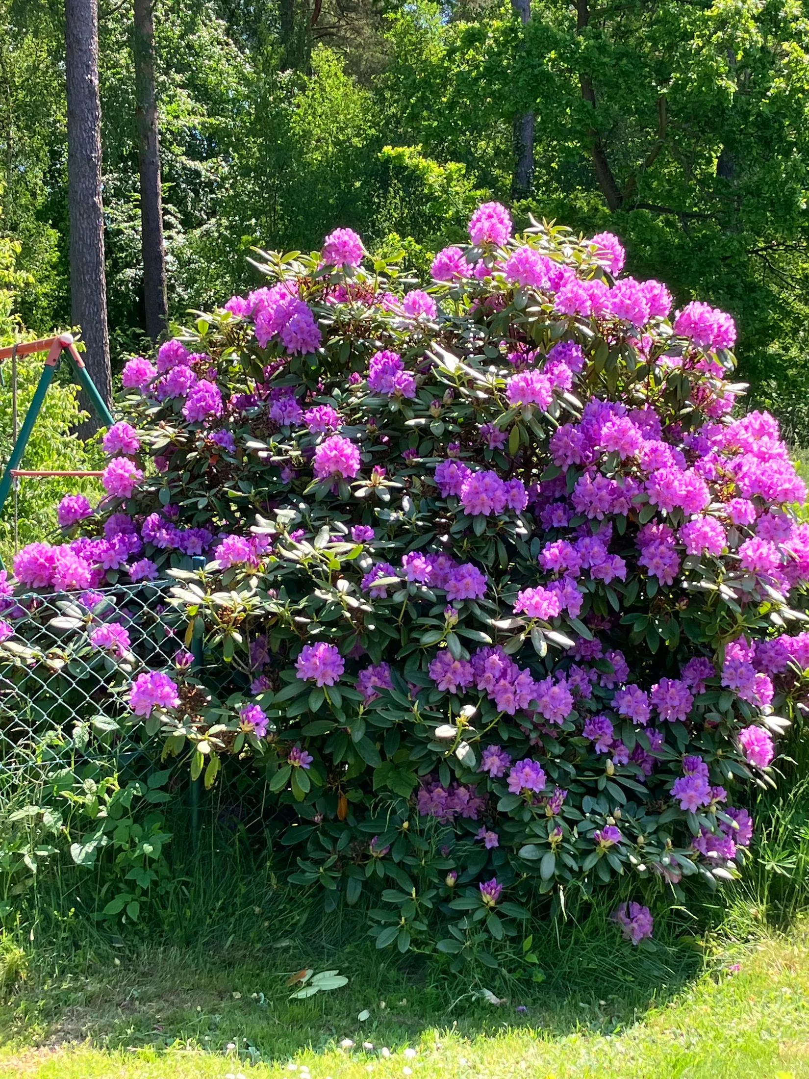 Villa, Ågeäng 3, Karups Nygård, Sjöbo