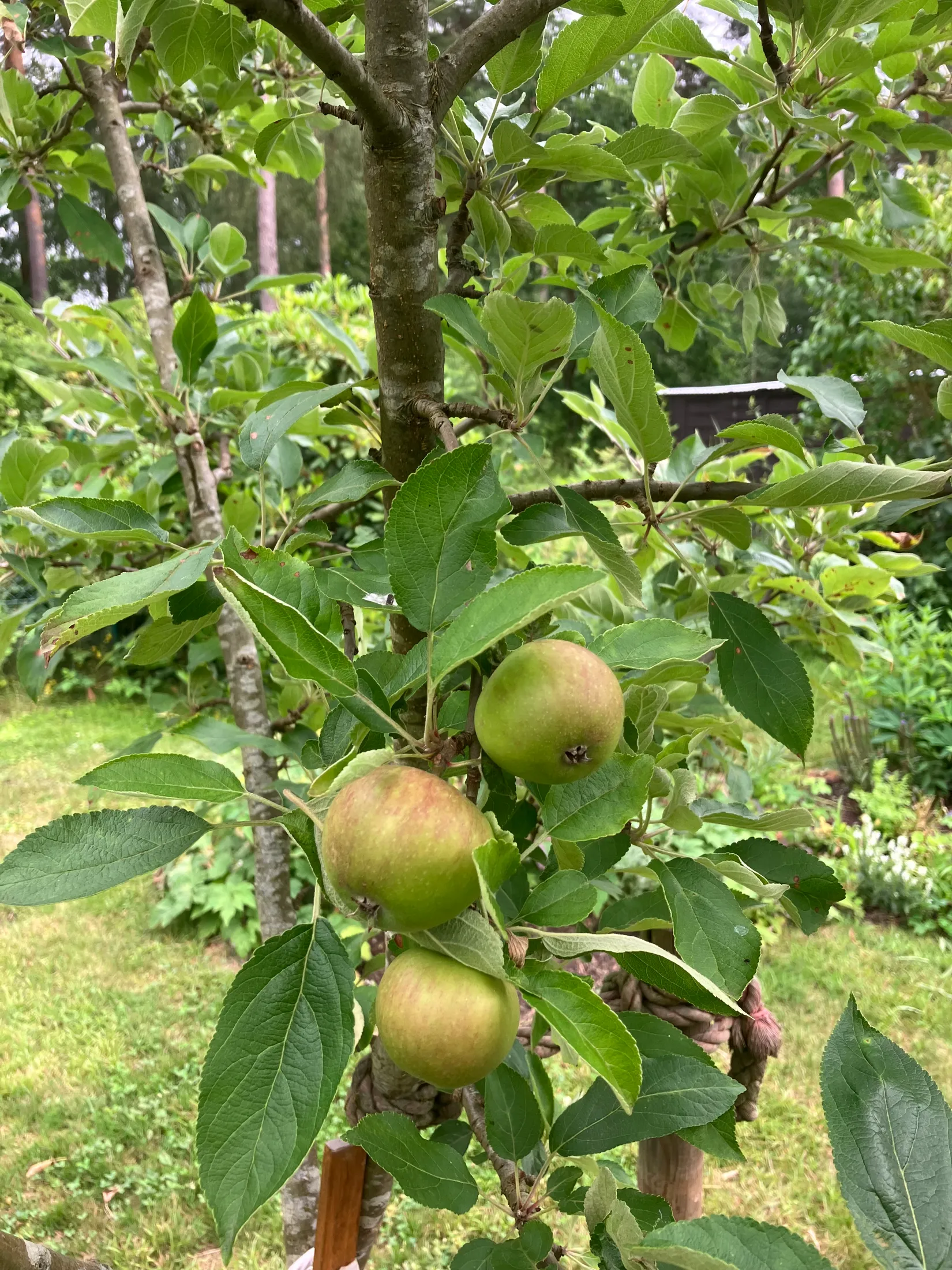 Villa, Ågeäng 3, Karups Nygård, Sjöbo