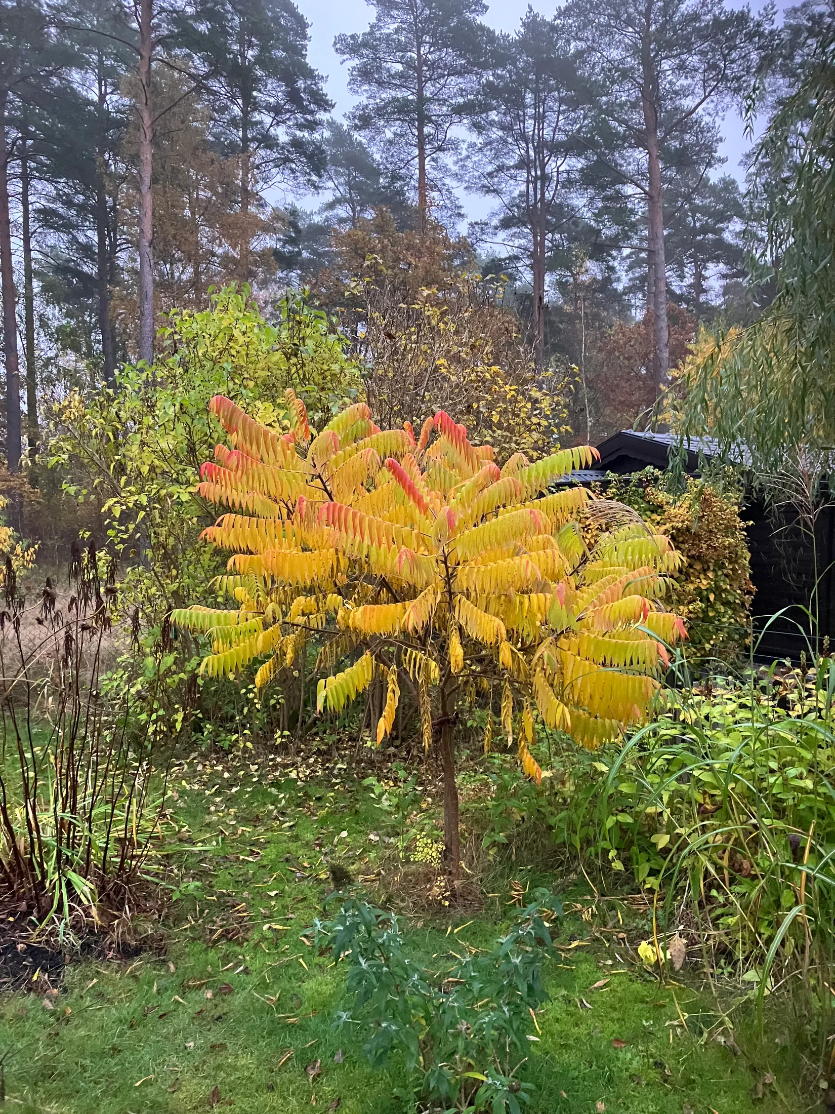 Villa, Ågeäng 3, Karups Nygård, Sjöbo