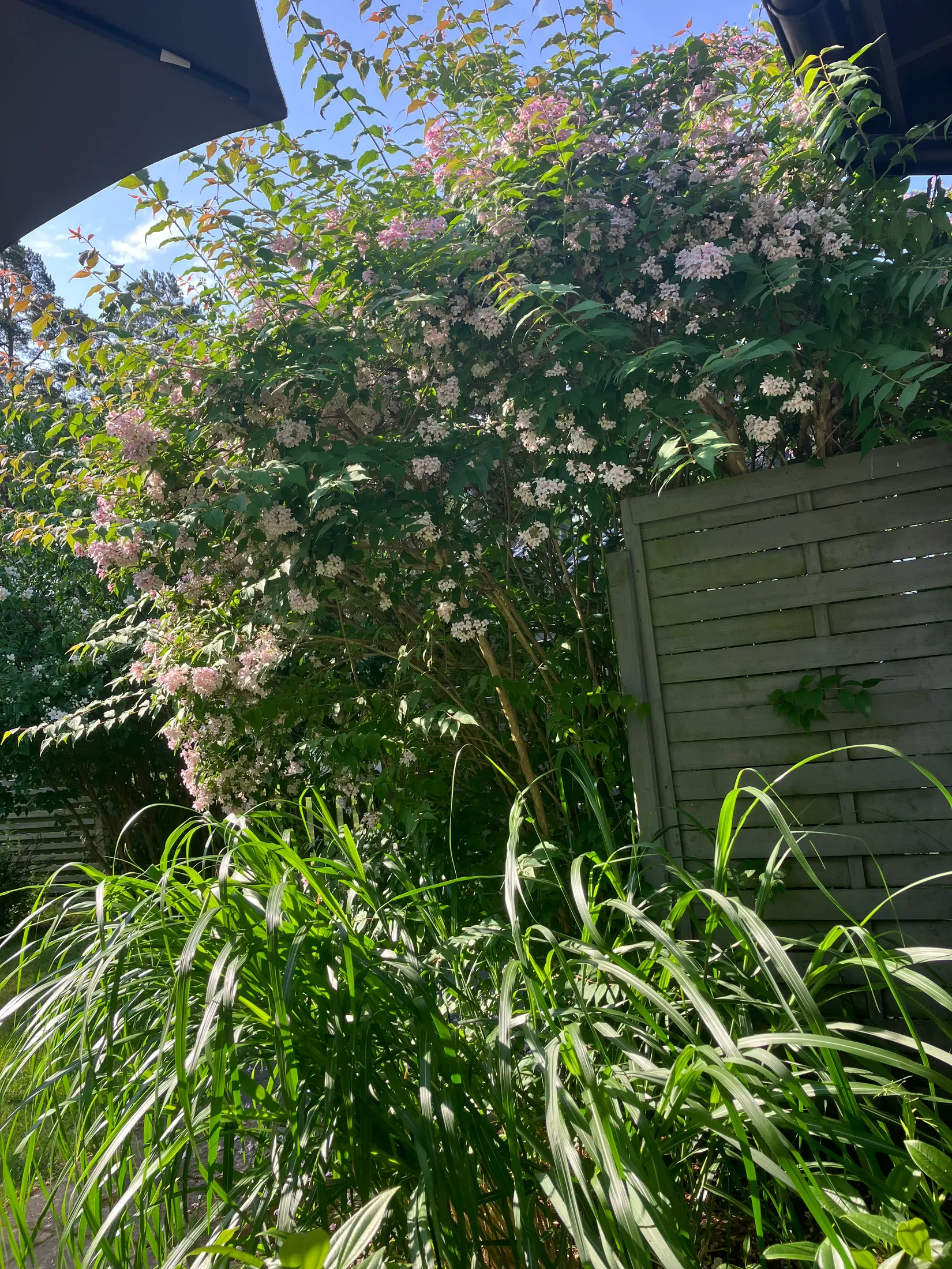 Villa, Ågeäng 3, Karups Nygård, Sjöbo