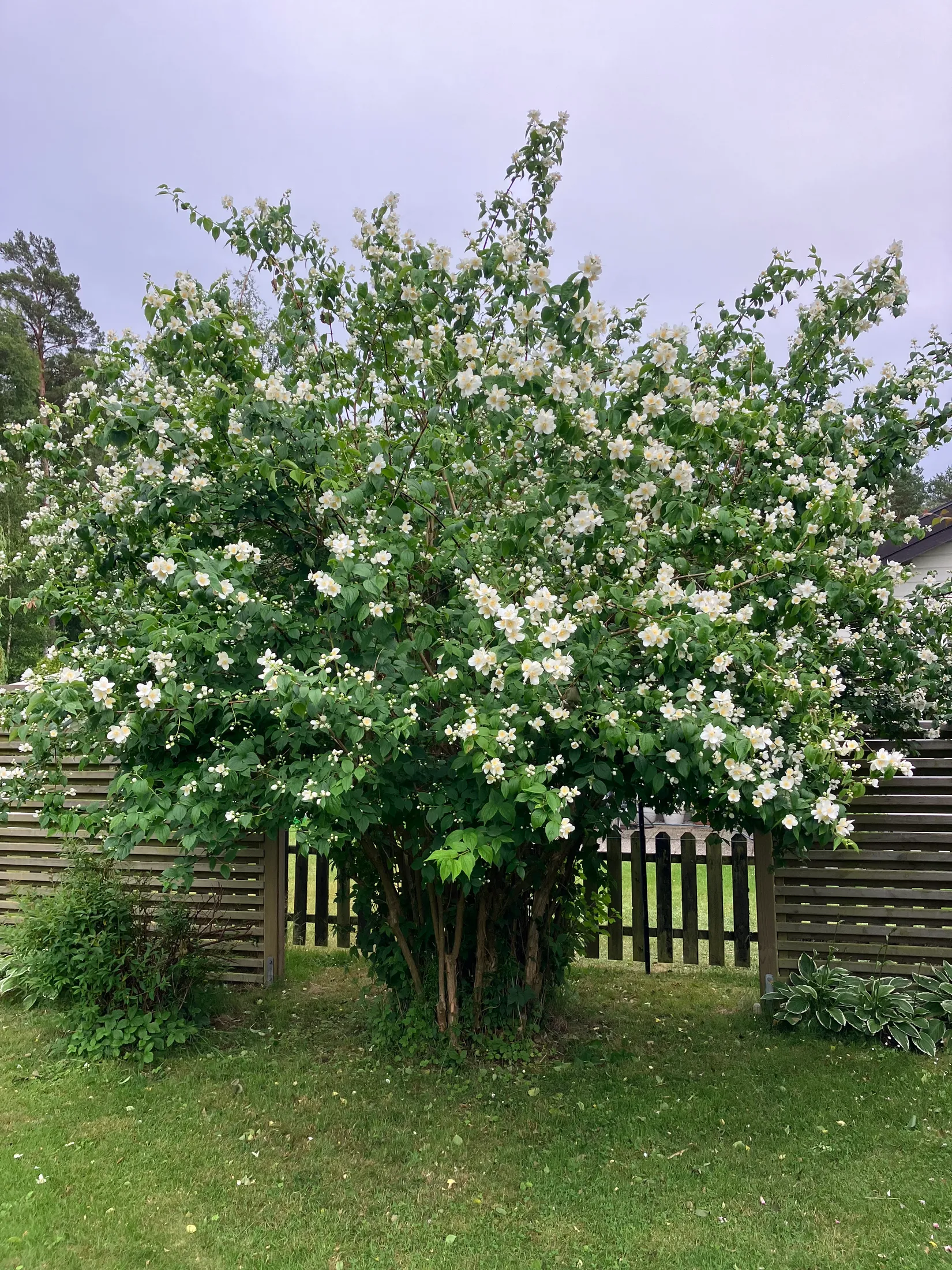 Villa, Ågeäng 3, Karups Nygård, Sjöbo