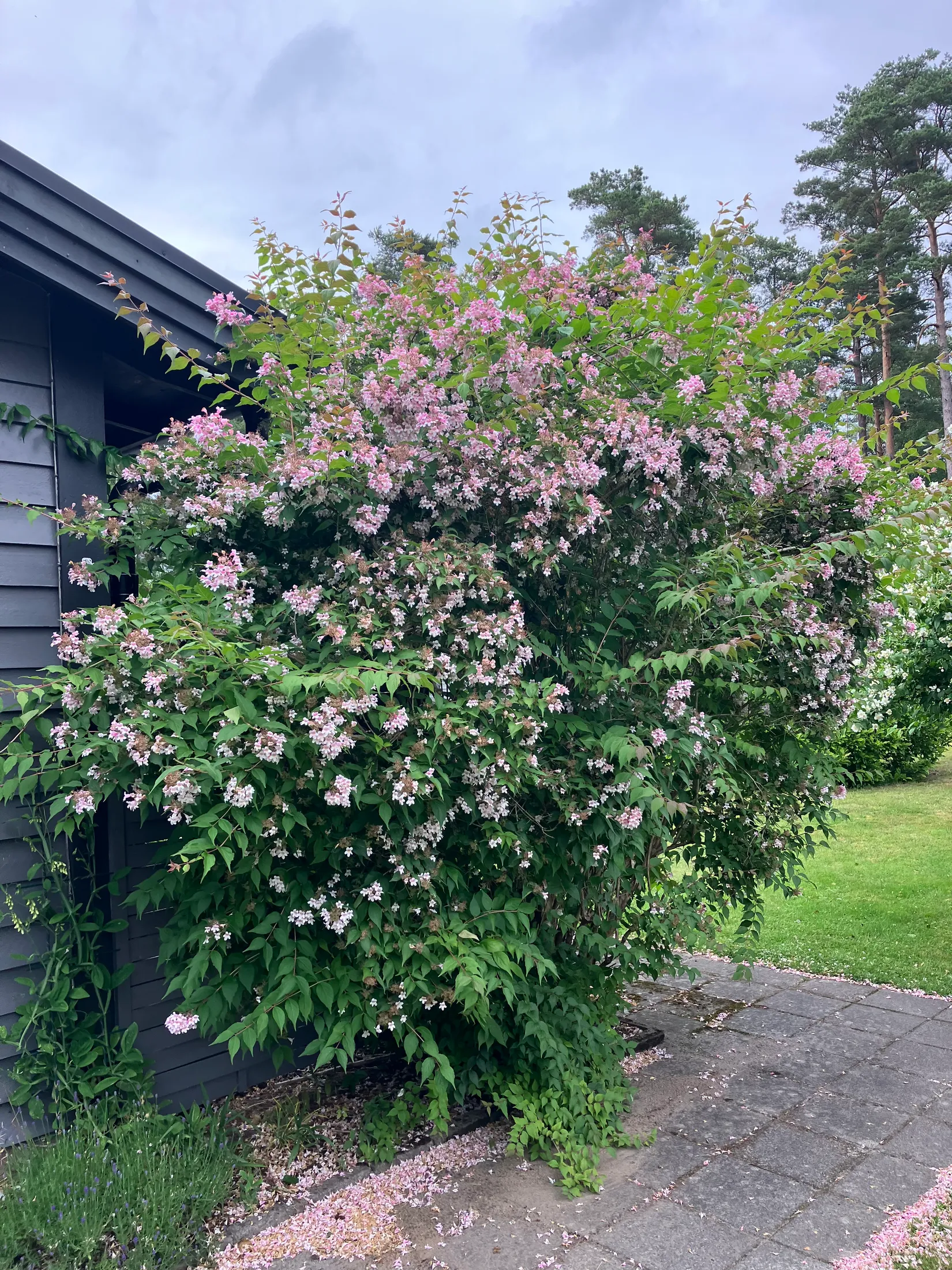 Villa, Ågeäng 3, Karups Nygård, Sjöbo