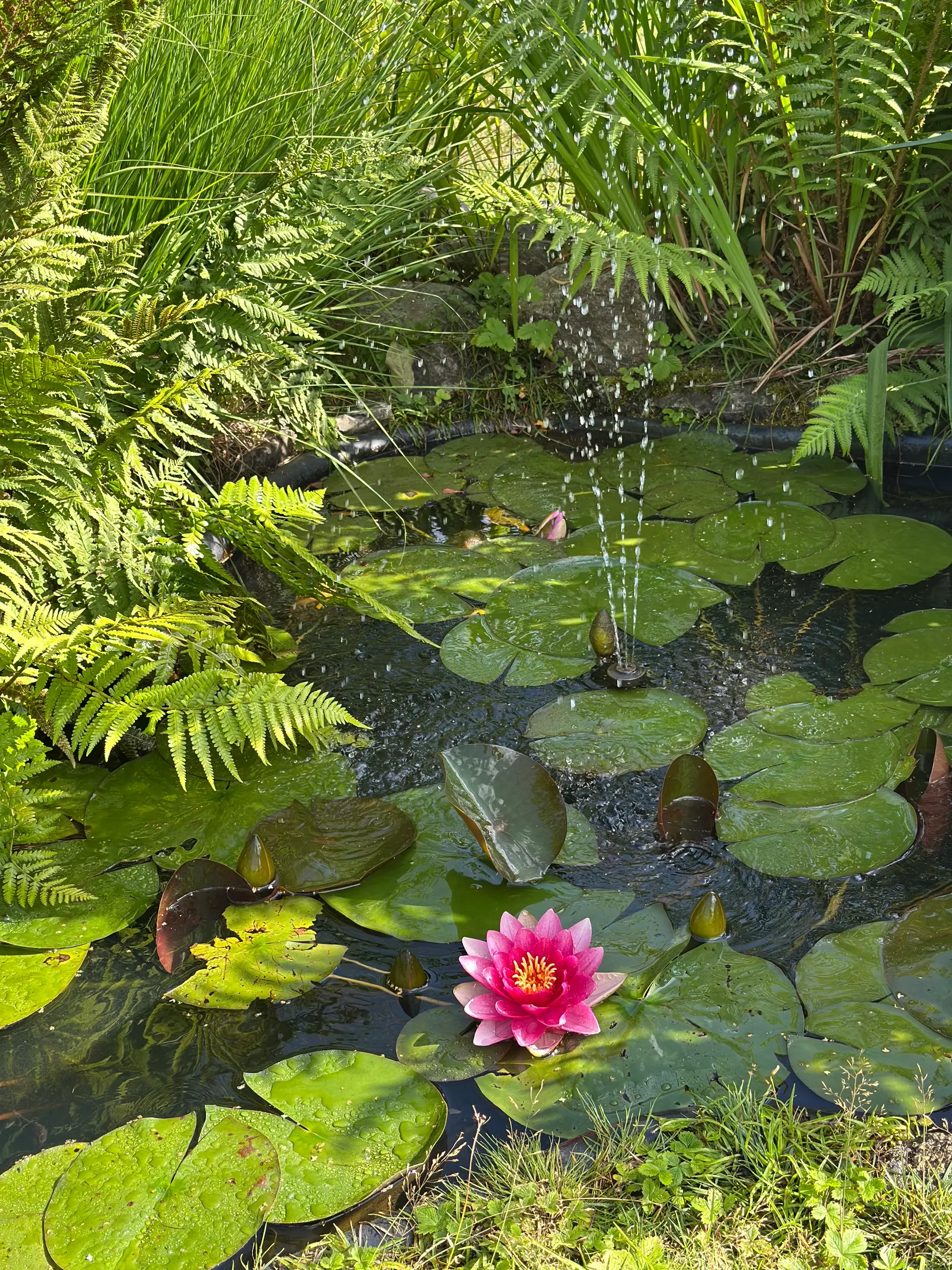 Villa, Ågeäng 3, Karups Nygård, Sjöbo