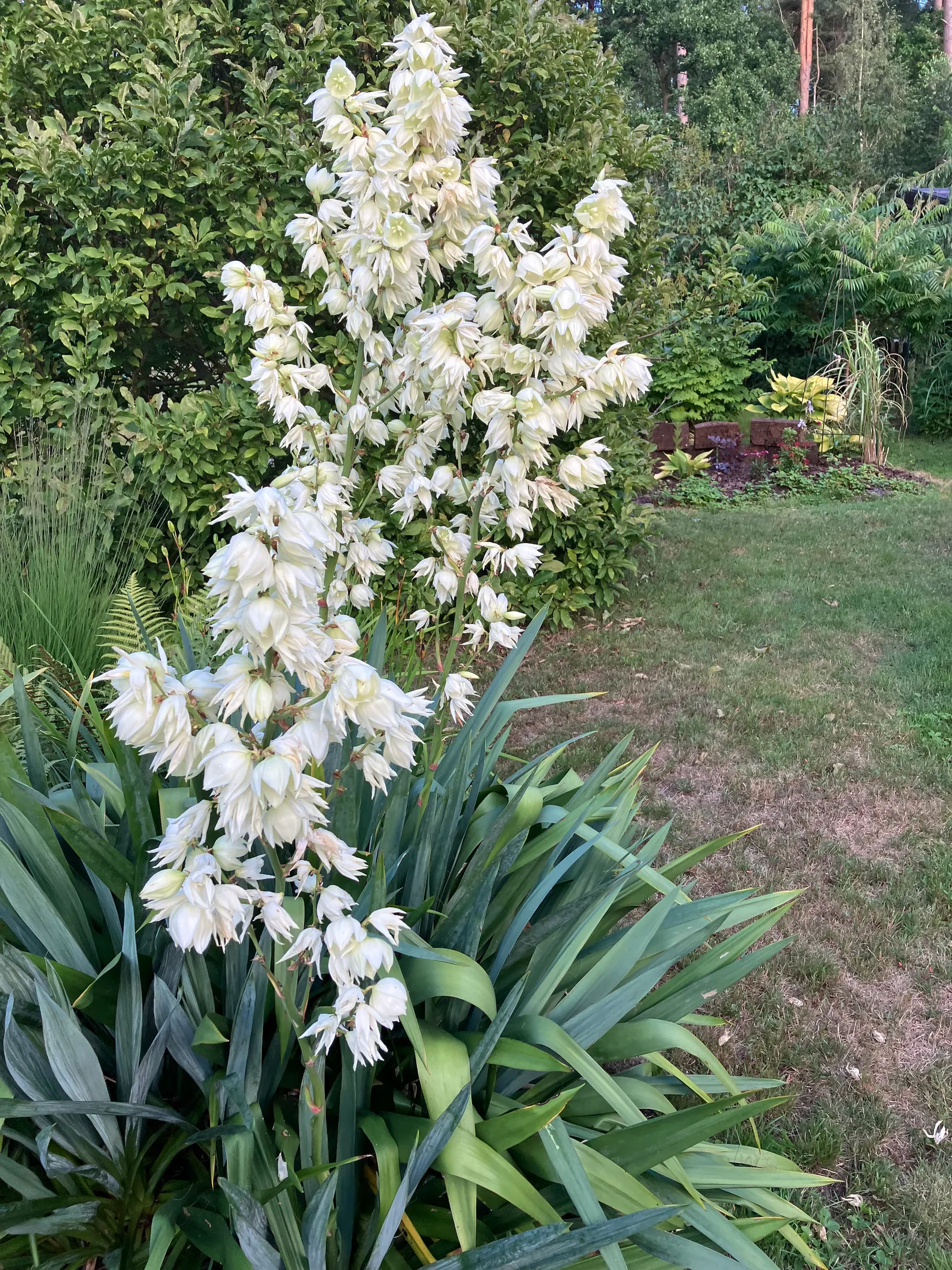 Villa, Ågeäng 3, Karups Nygård, Sjöbo