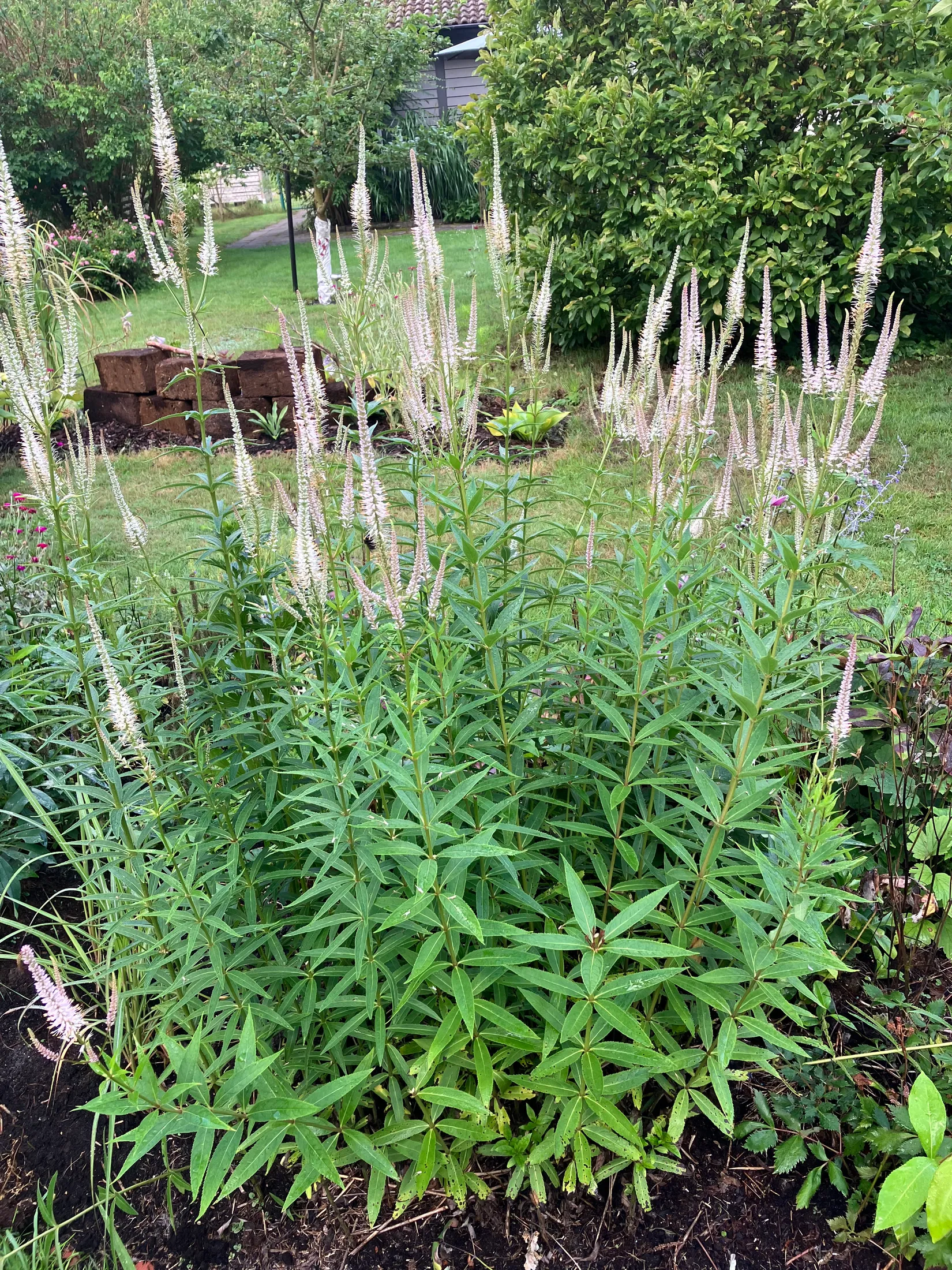 Villa, Ågeäng 3, Karups Nygård, Sjöbo