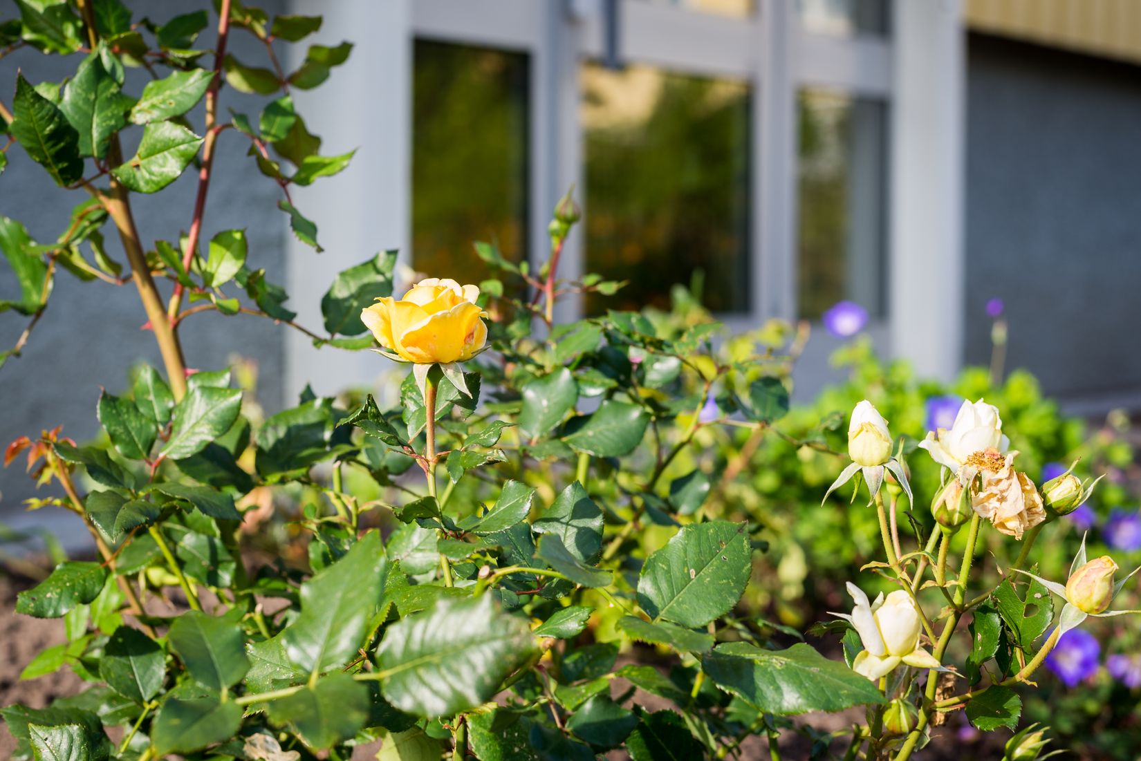 Bostadsrätt, Antenngatan 51C, Järnbrott, Göteborg