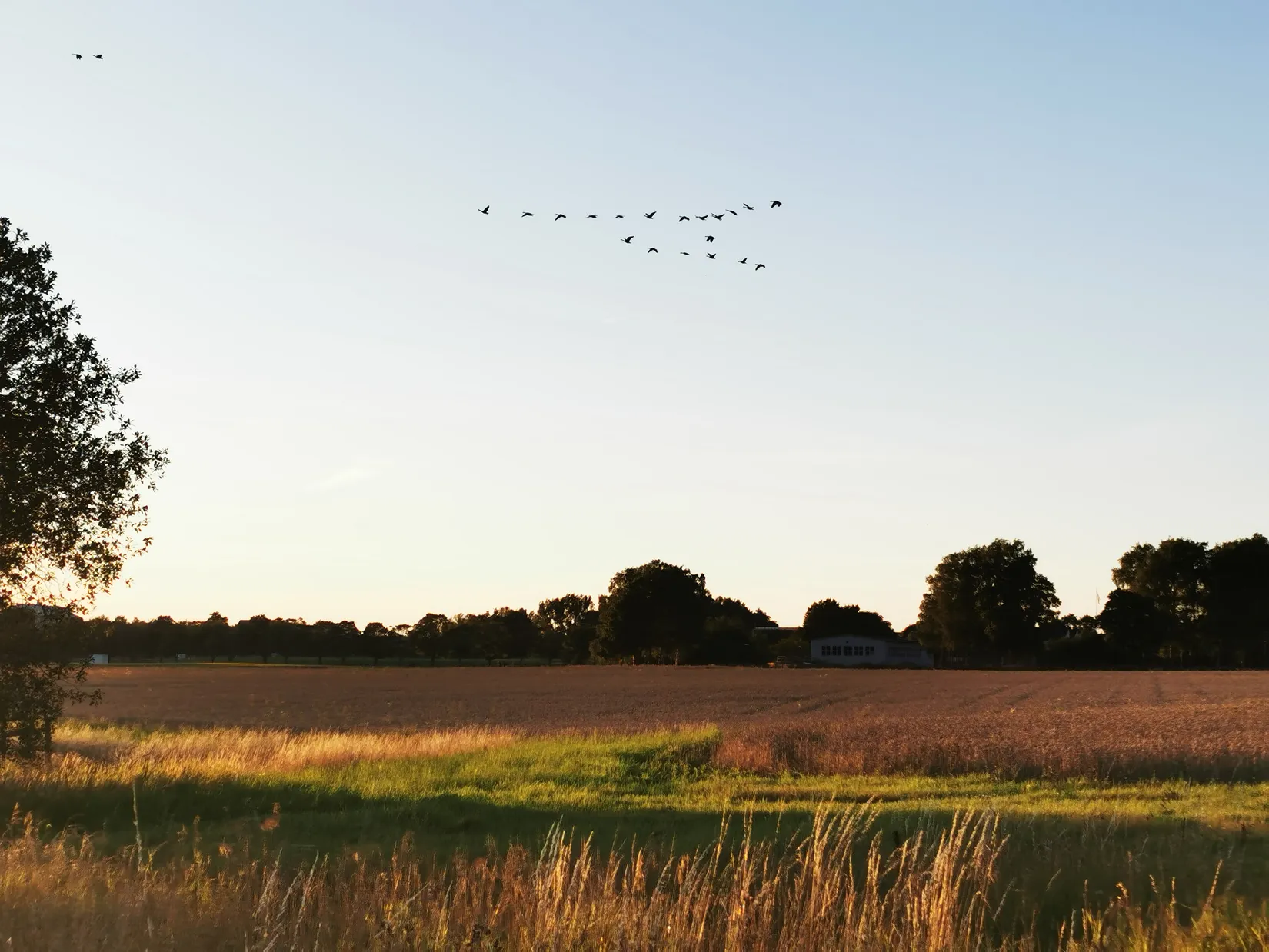 Bostadsrätt, Ekoxvägen 8, Ultuna, Uppsala