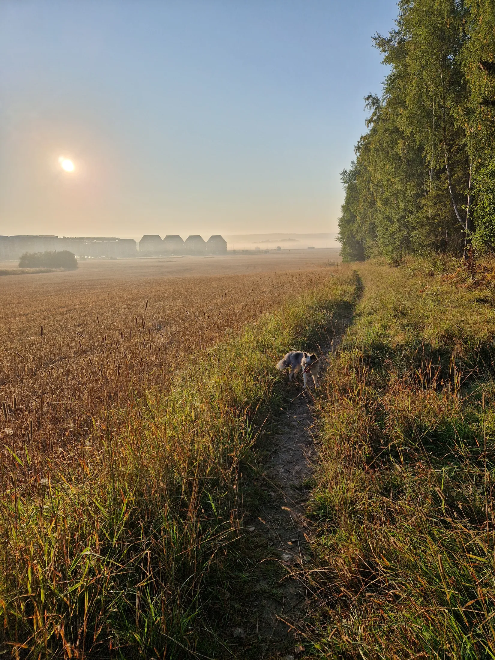 Bostadsrätt, Ekoxvägen 8, Ultuna, Uppsala