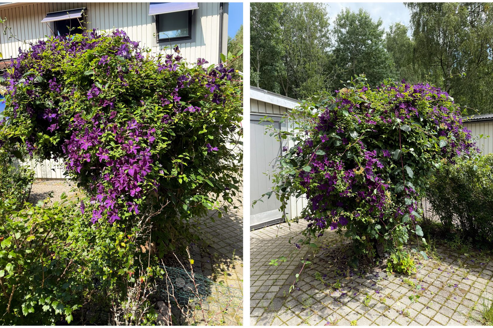 Bostadsrätt, Radhus, Mästermansgatan 21, Östervärn, Hässleholm