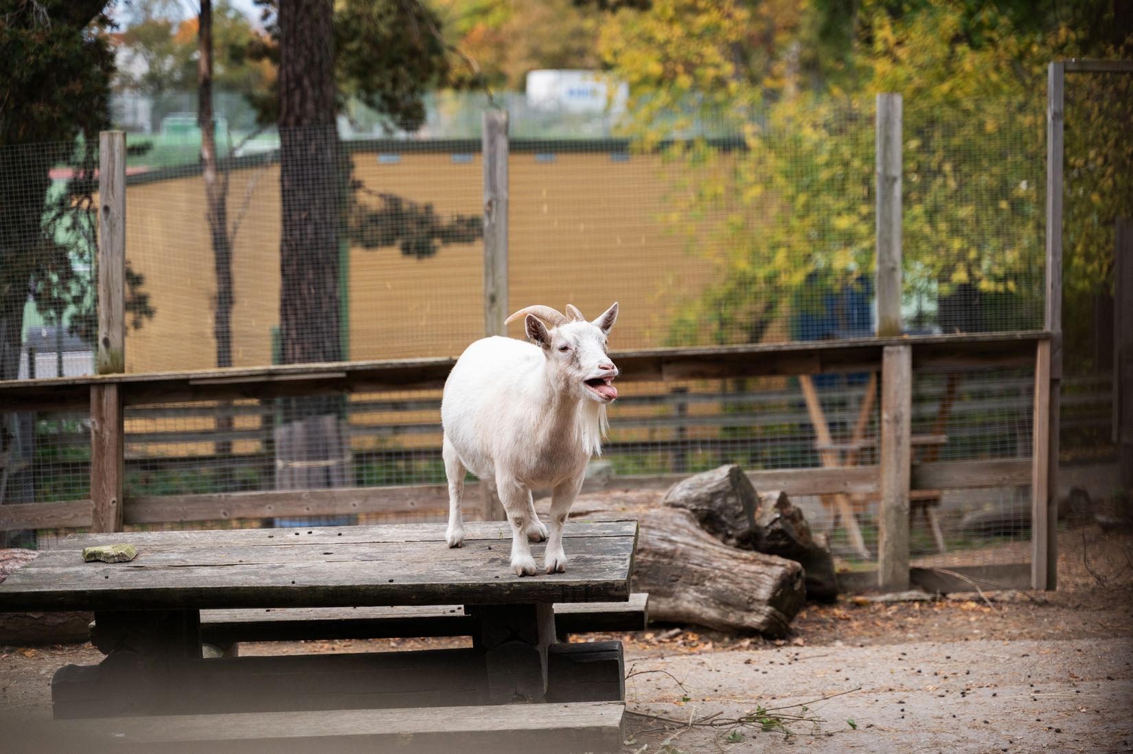 Bostadsrätt, Hägerstensvägen 99B, Aspudden, Stockholm