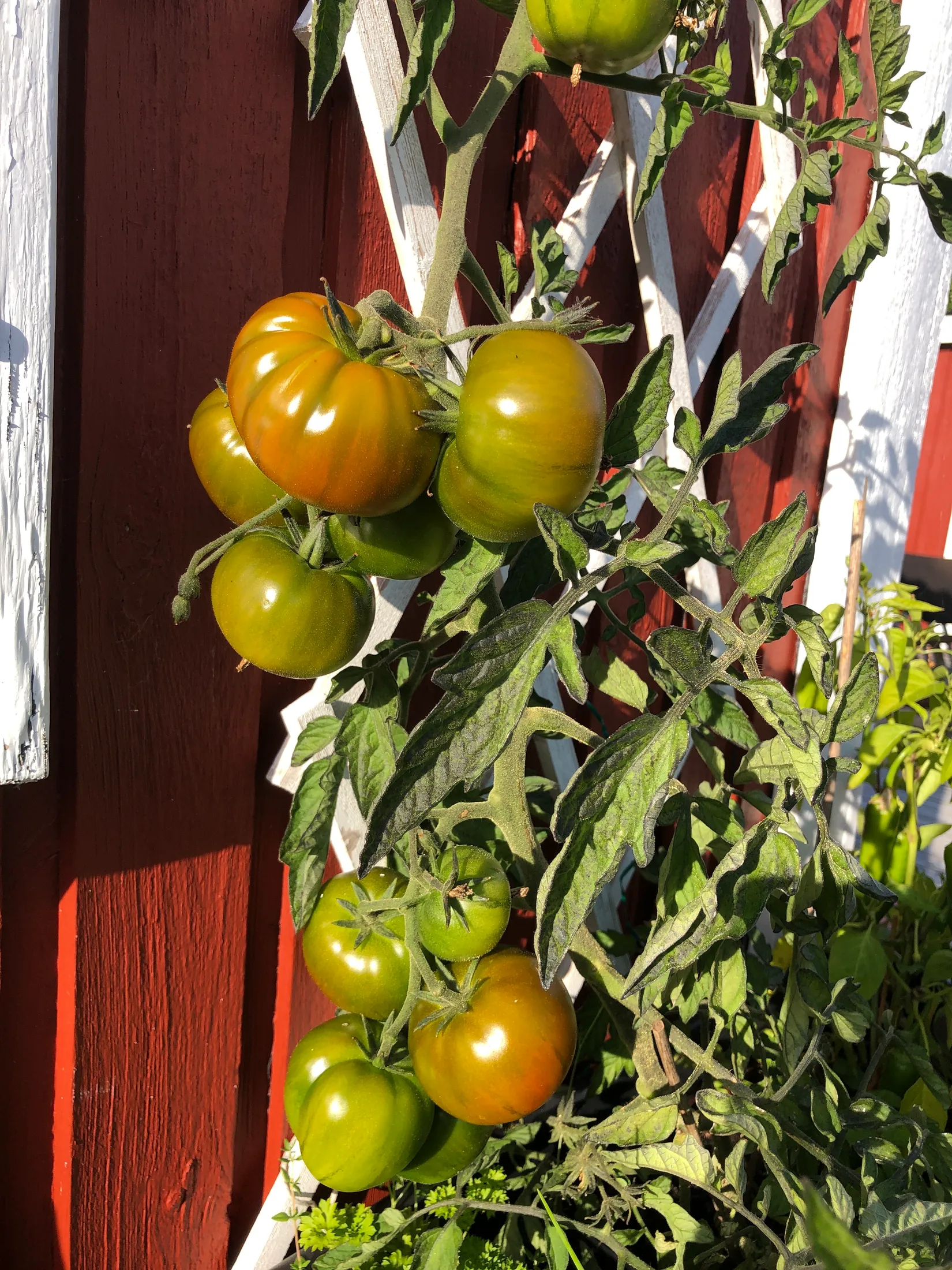 Fritidshus, Ängsviolvägen 14, Lisö - Skärlinge, Nynäshamn