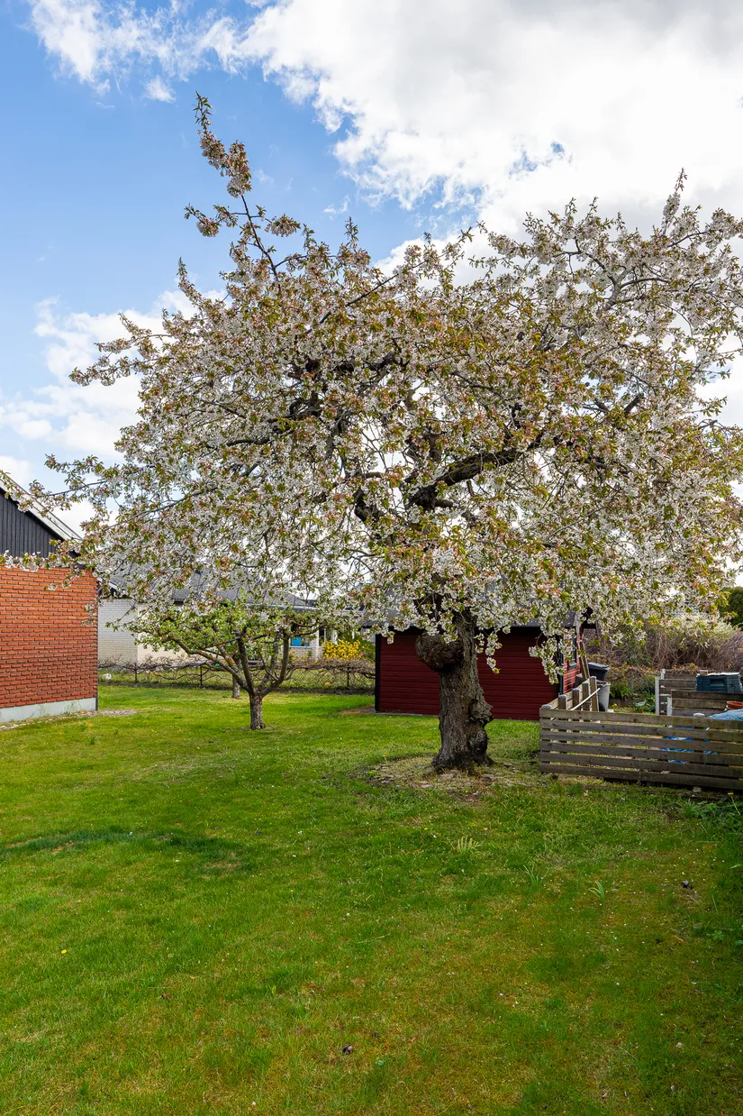 Villa, Fyrverkarevägen 21, Norra Åsum, Kristianstad