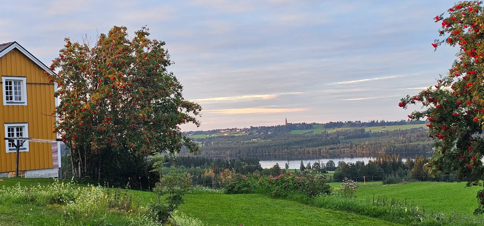 Villa, Hällne 237, Oviken, Berg