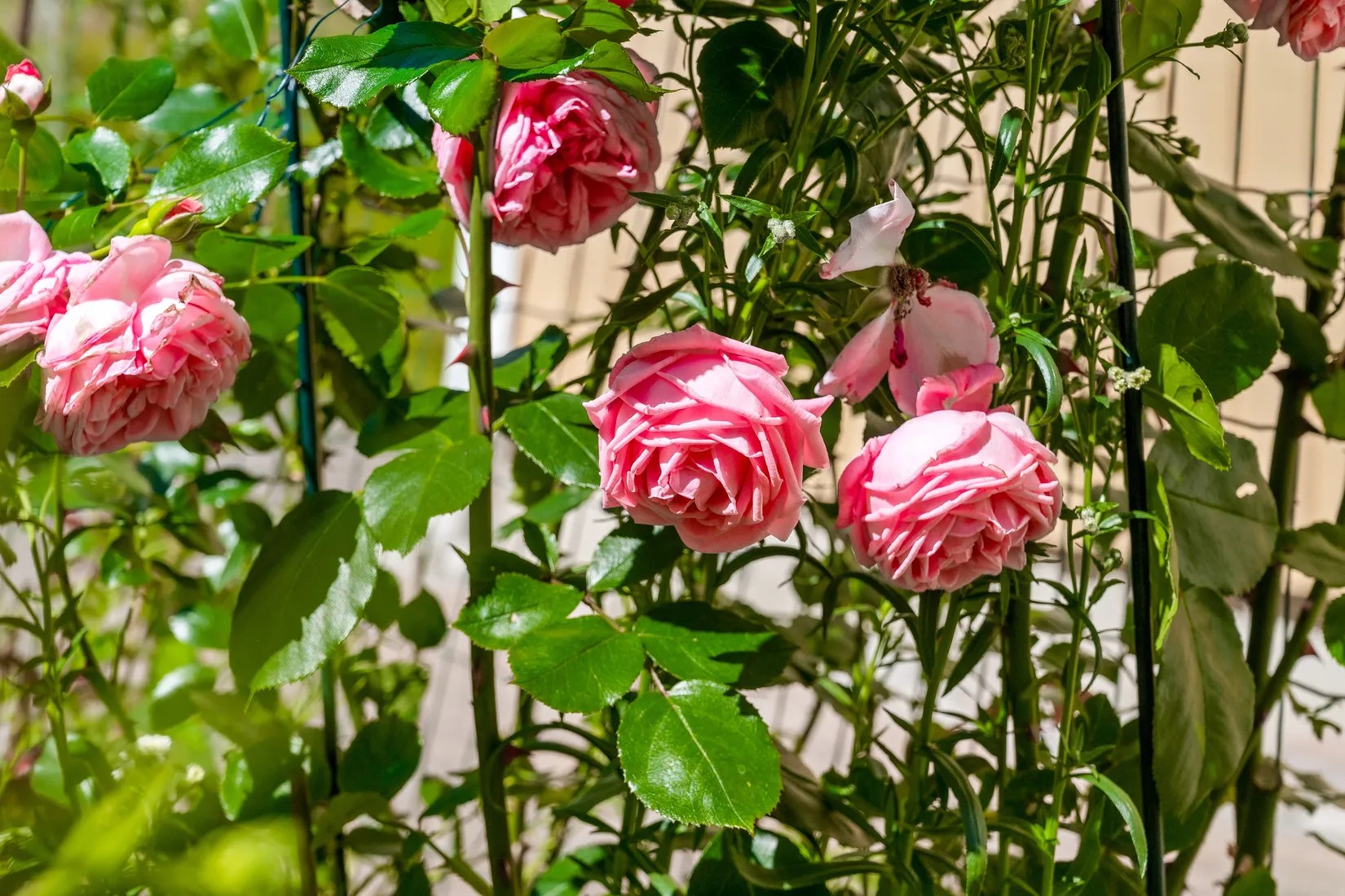 Villa, Krokvägen 3B, Storängen, Nacka