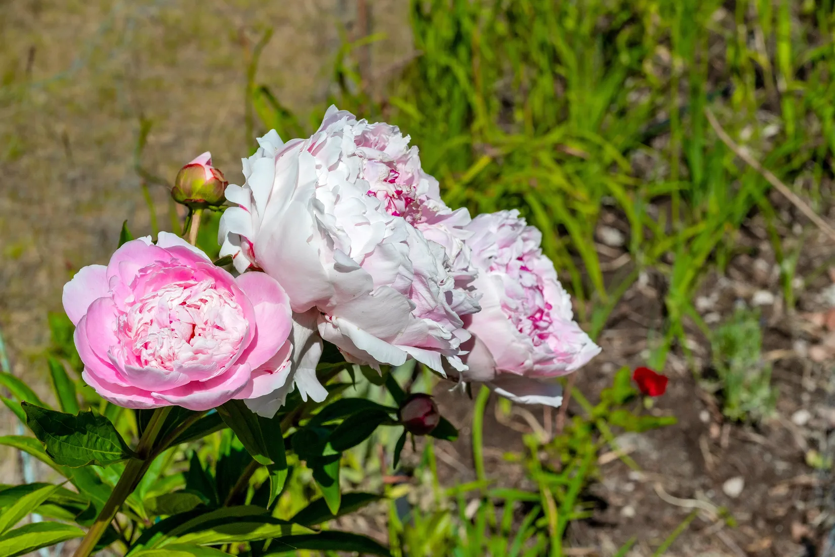 Villa, Krokvägen 3B, Storängen, Nacka