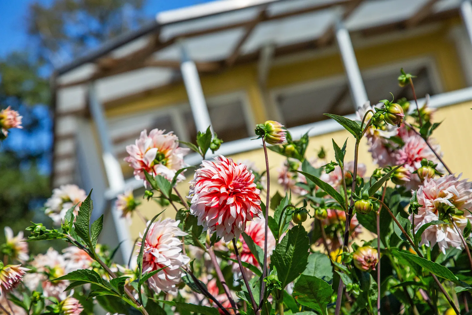 Villa, Kristevik 547, Kristevik, Uddevalla