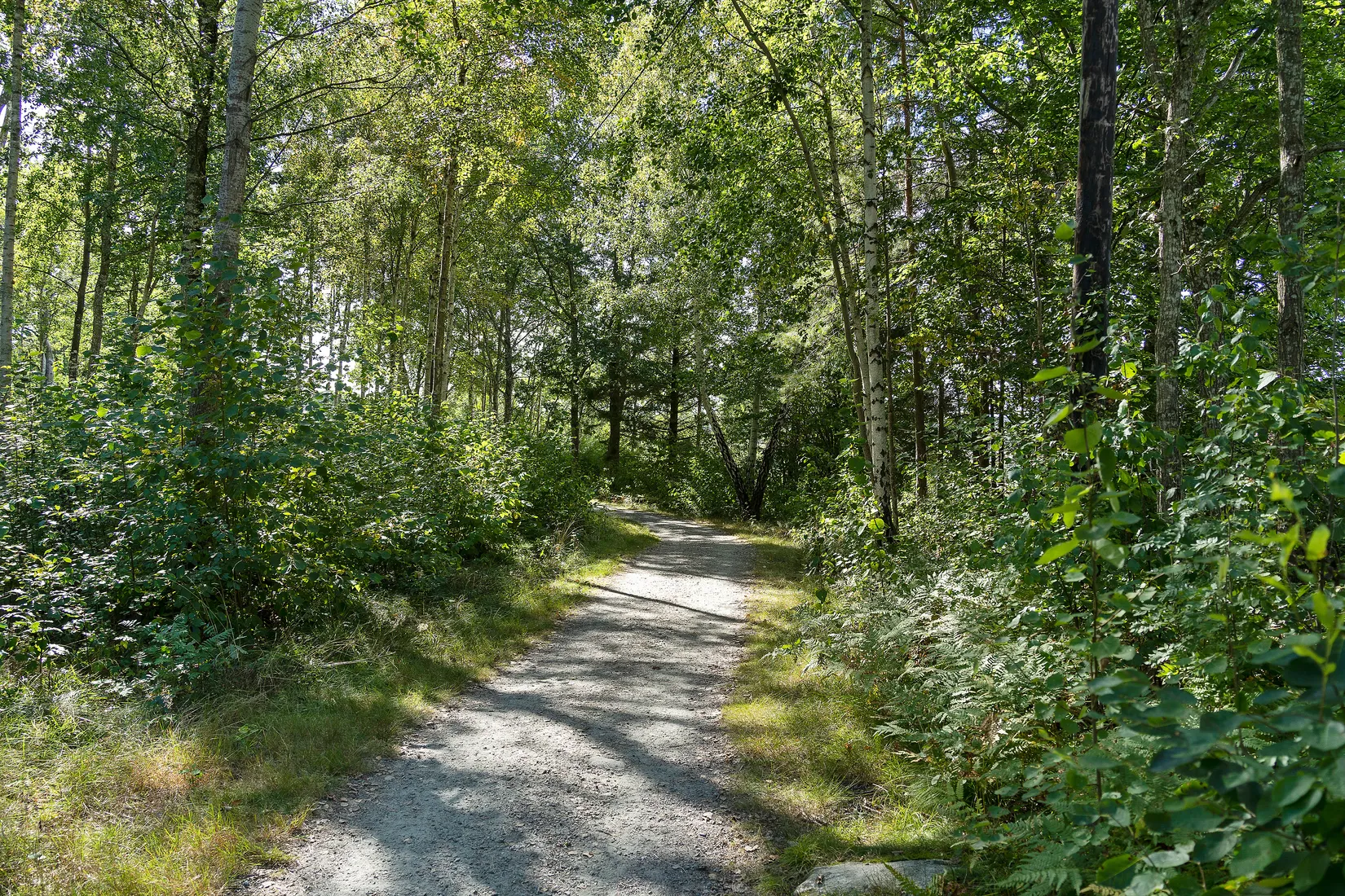 Bostadsrätt, Forsvägen 6, Hammerö, Kungsbacka