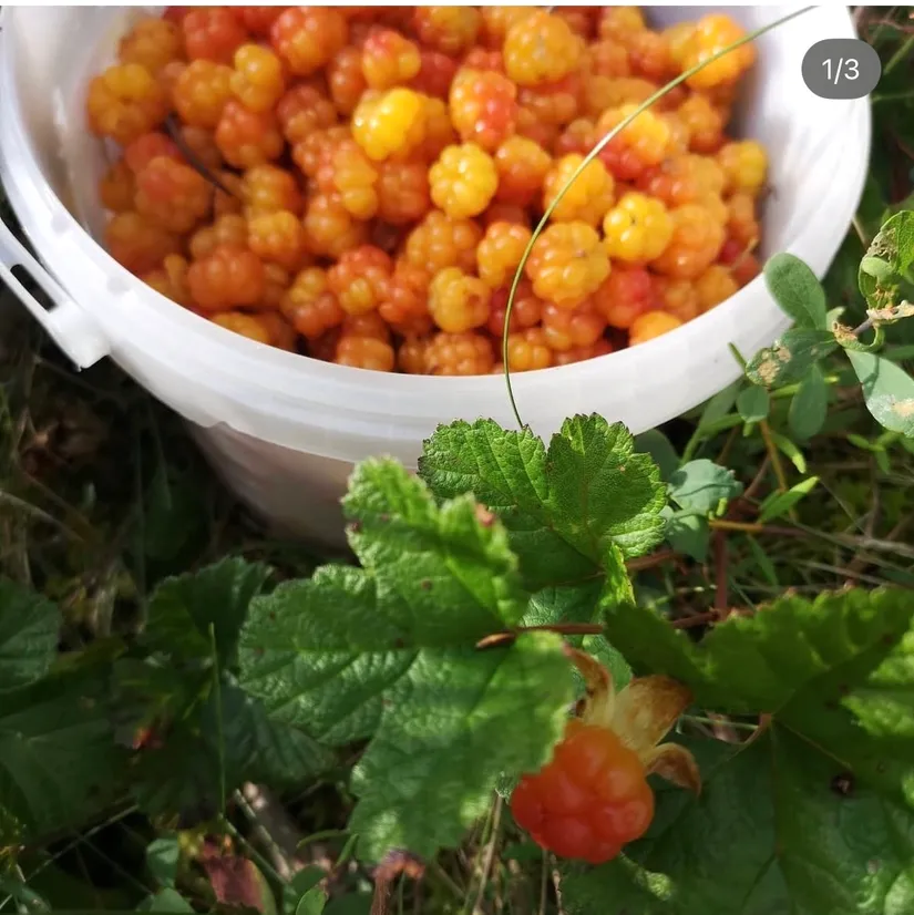 Fritidshus, Storklinten 10, Storklinten, Boden