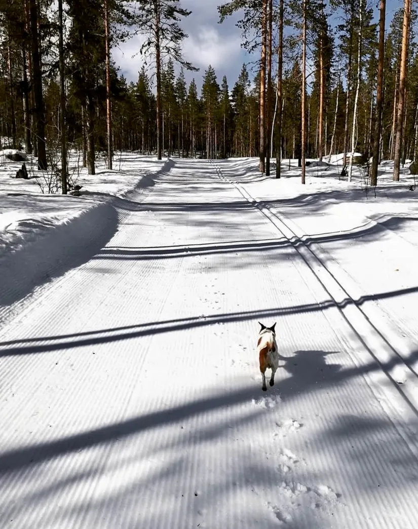 Fritidshus, Storklinten 10, Storklinten, Boden