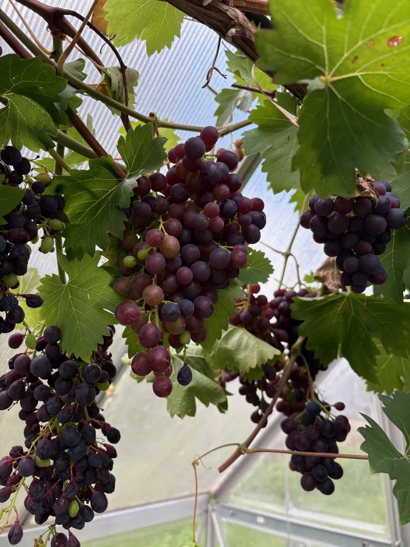 Villa, Marsjövägen 28, Kungshagen, Strängnäs