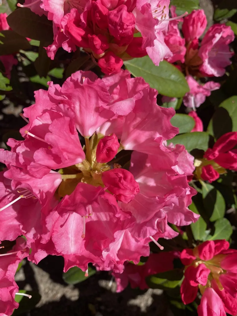 Villa, Marsjövägen 28, Kungshagen, Strängnäs