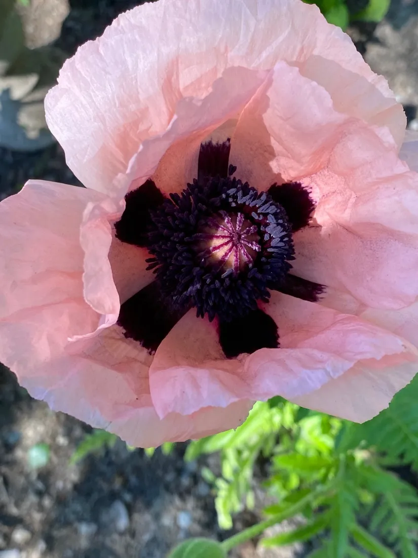 Villa, Marsjövägen 28, Kungshagen, Strängnäs