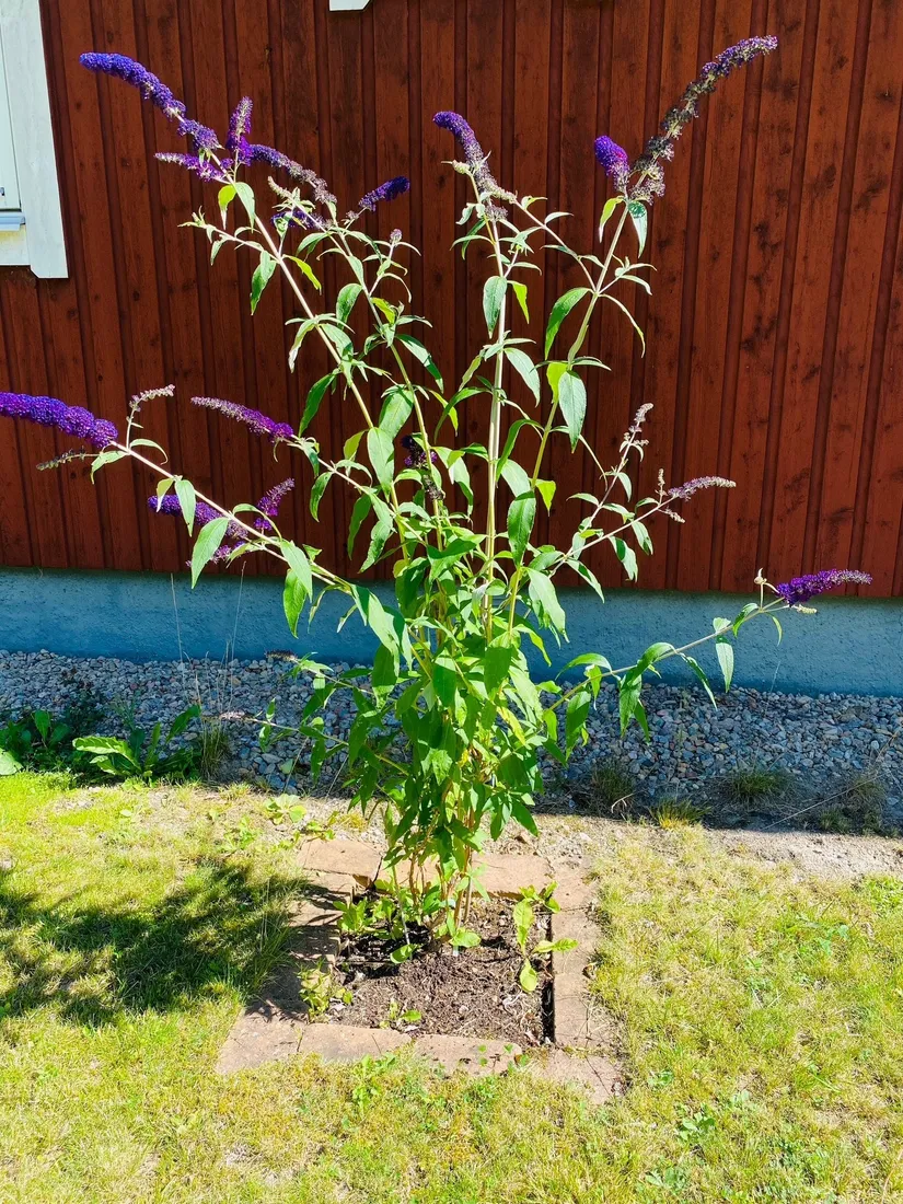 Villa, Marsjövägen 28, Kungshagen, Strängnäs