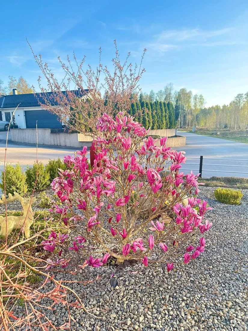 Villa, Fäbodvägen 3, Replösa, Ljungby