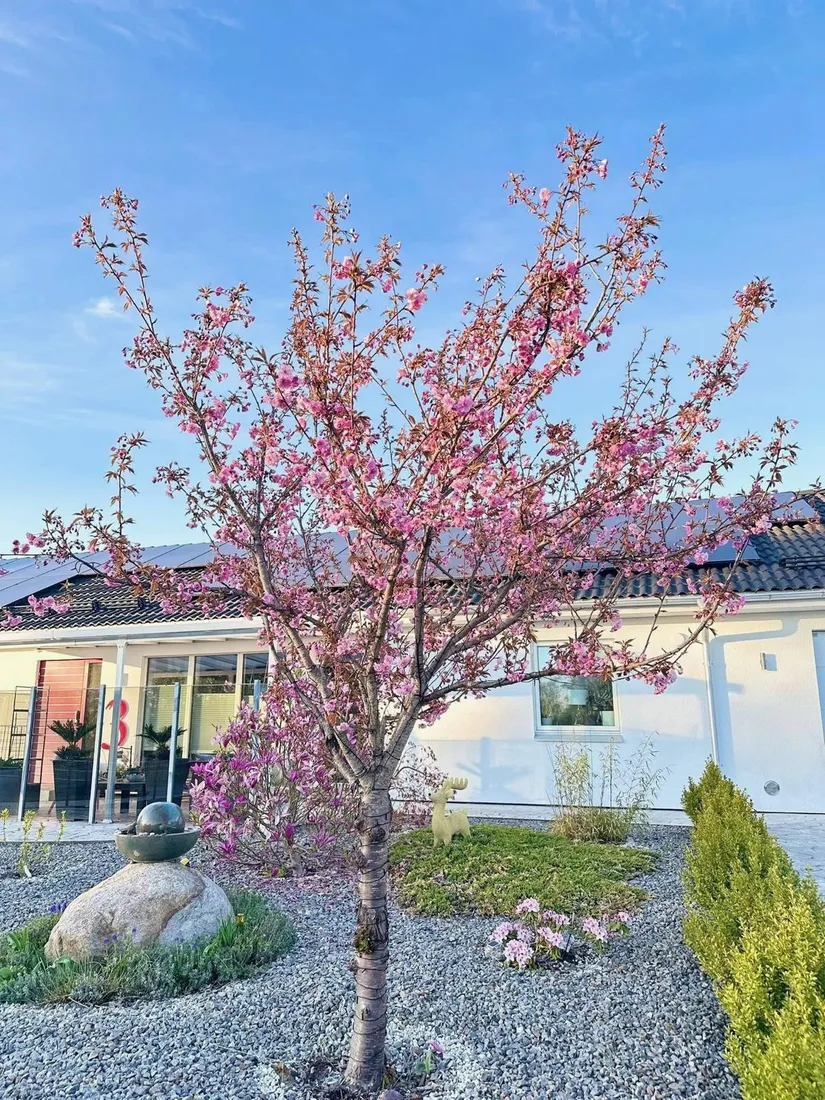 Villa, Fäbodvägen 3, Replösa, Ljungby