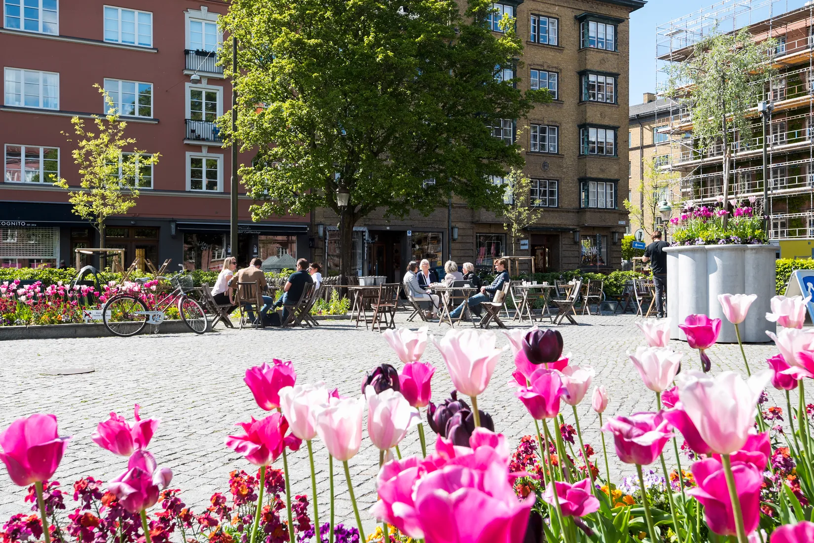 Bostadsrätt, Storgatan 41A, Davidshall, Malmö