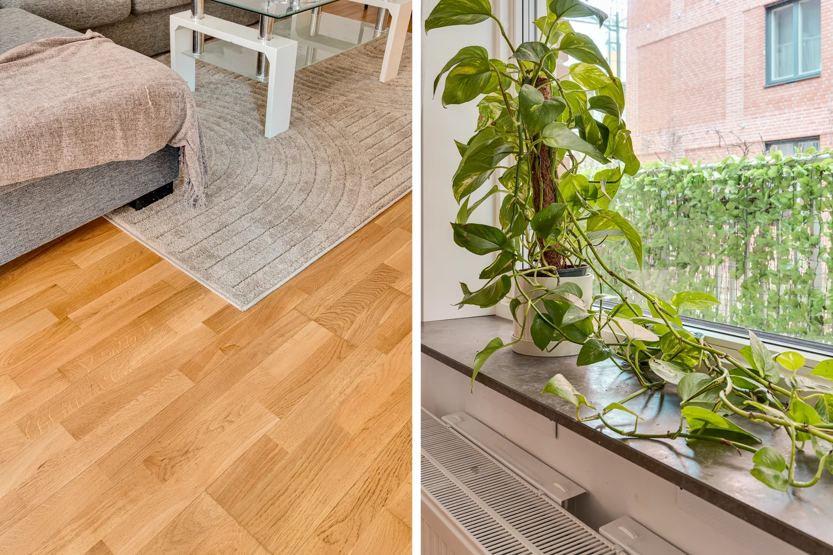 Bostadsrätt, Friggs gränd 12, Malmö