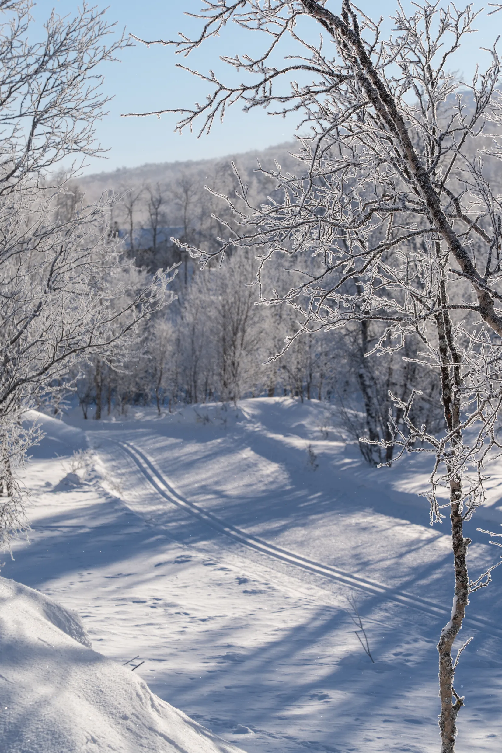 Bostadsrätt, Hamrafjällsvägen 15C, Härjedalen