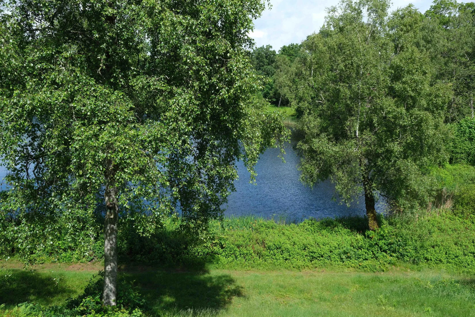 Villa, Klockgatan 6, Örkelljunga