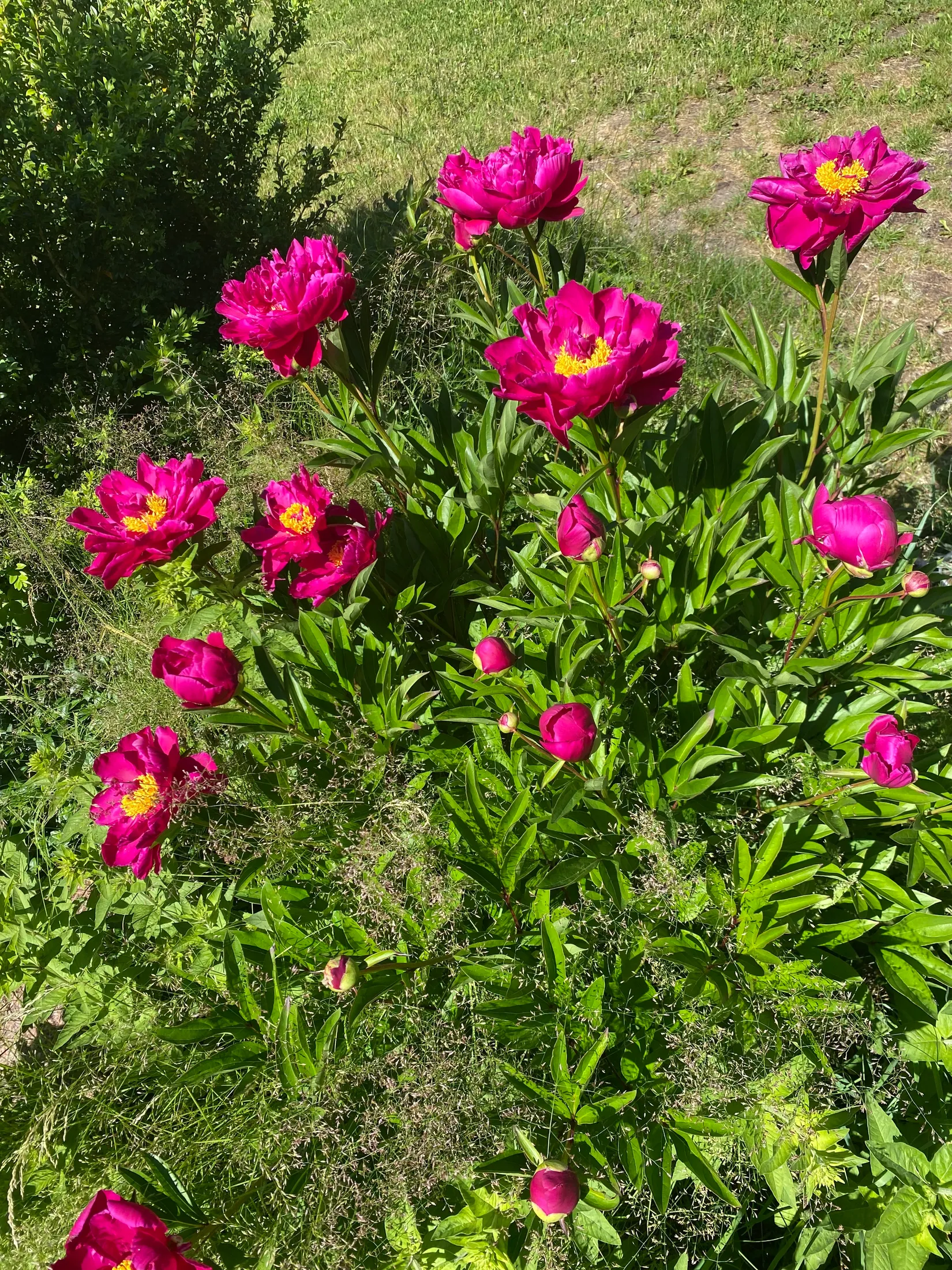 Villa, Tegelstigen 13, Kolvik, Värmdö