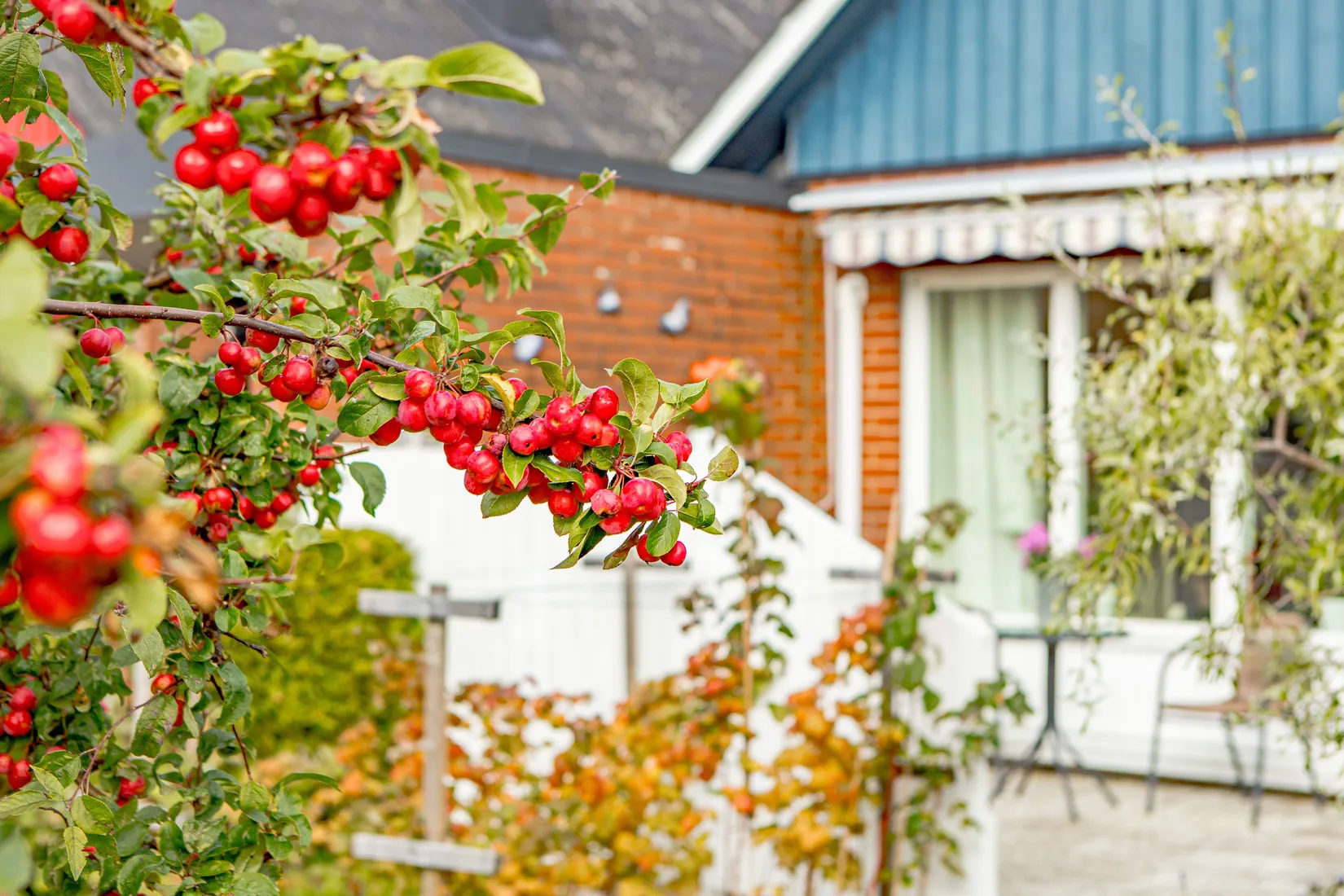 Villa, Radhus, Hagvägen 3, Getinge, Halmstad