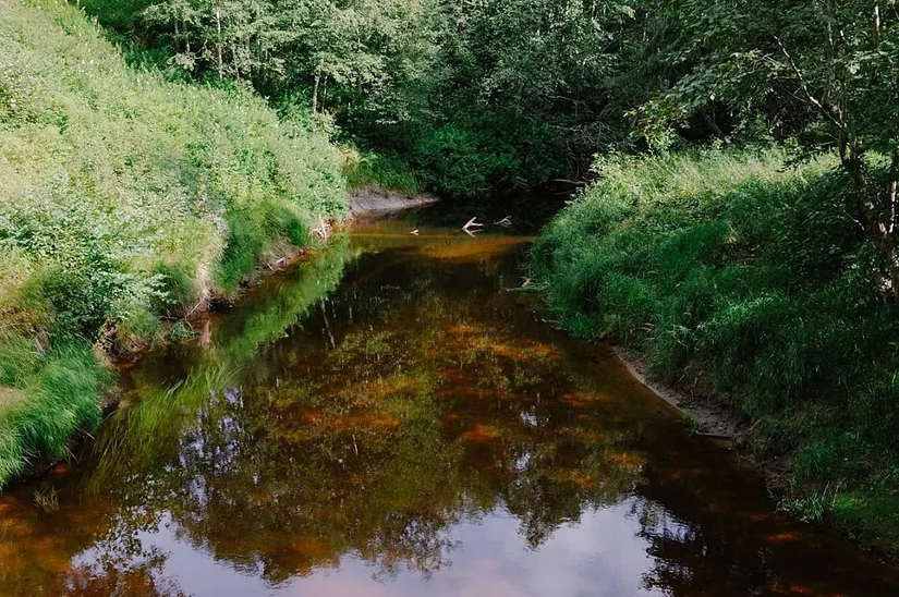 Villa, Forsbyn 10 (Baggå skola), Skinnskatteberg